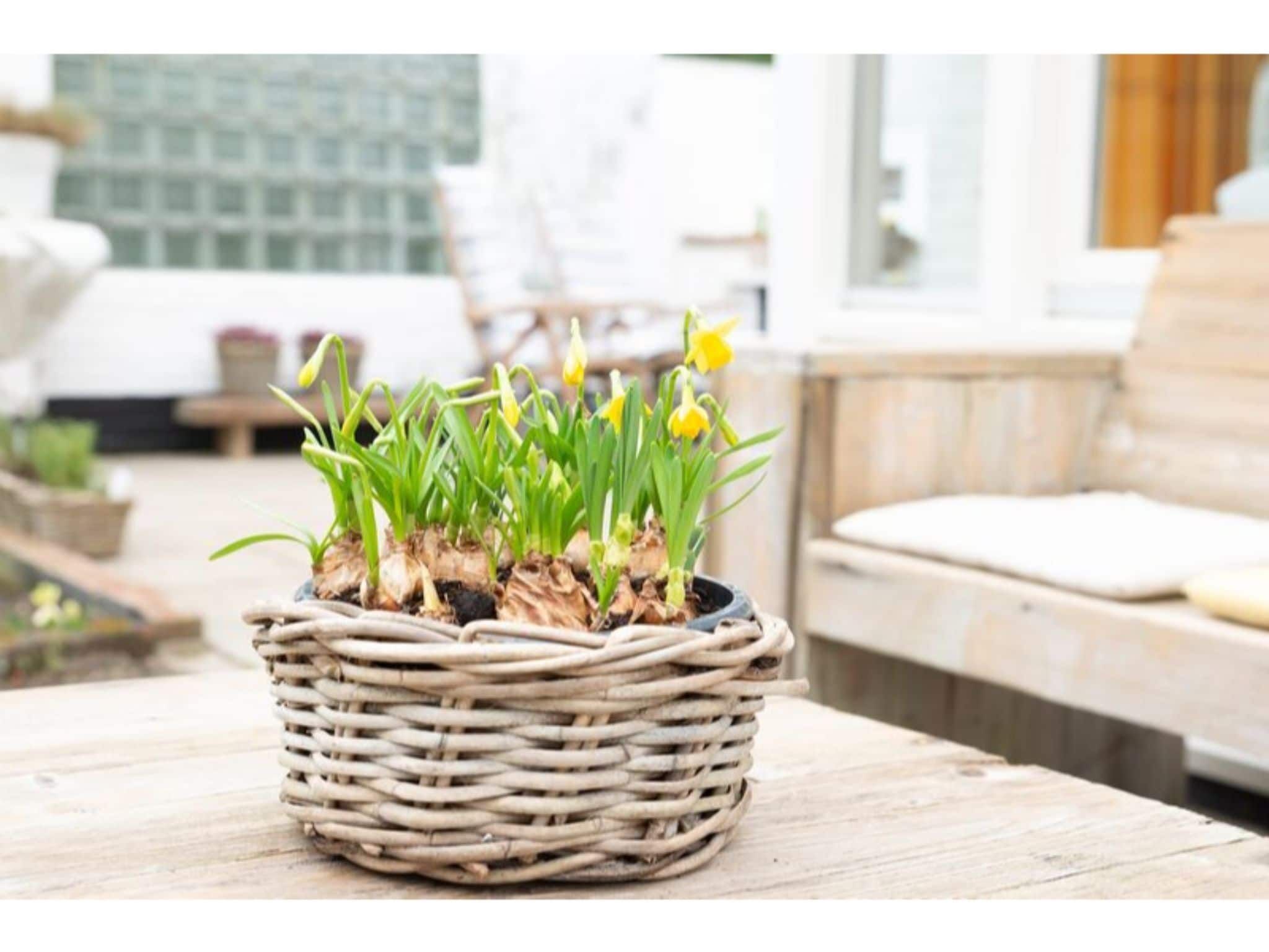 Sfeerbeeld van Horizon 3 in Renesse