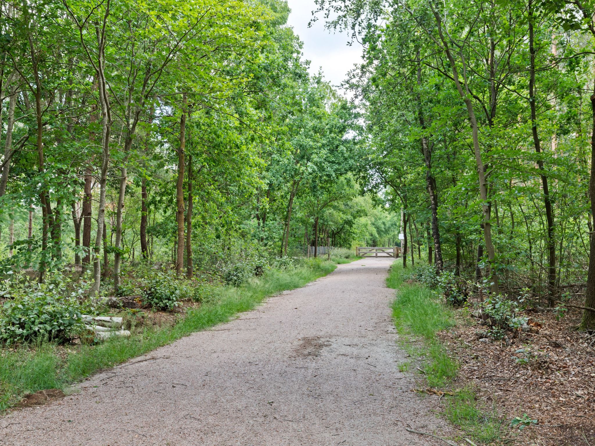 De omgeving van Huisje Putten in Putten