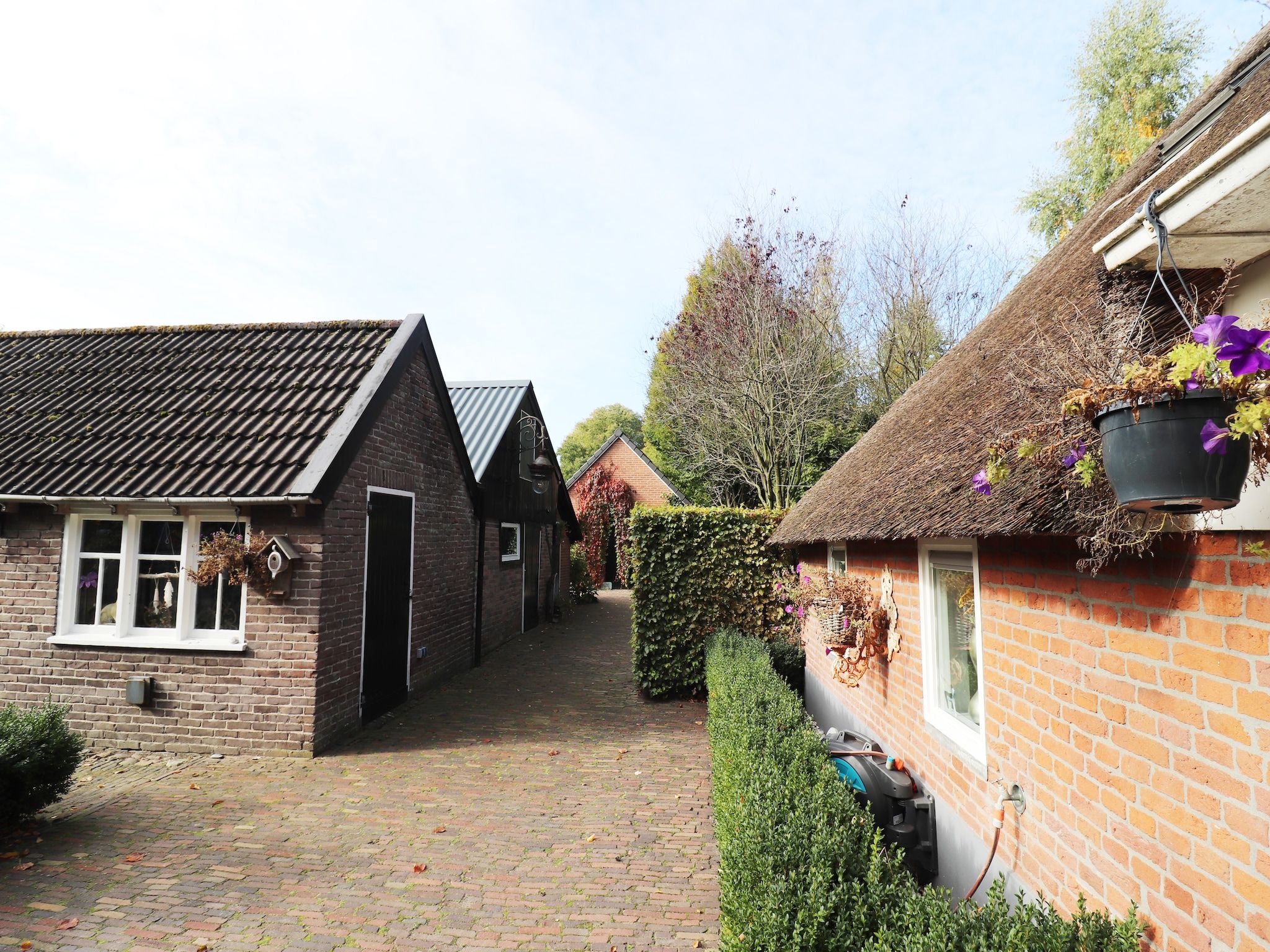 De tuin van Vakantiehuis 'Het Atelier' in Sleen