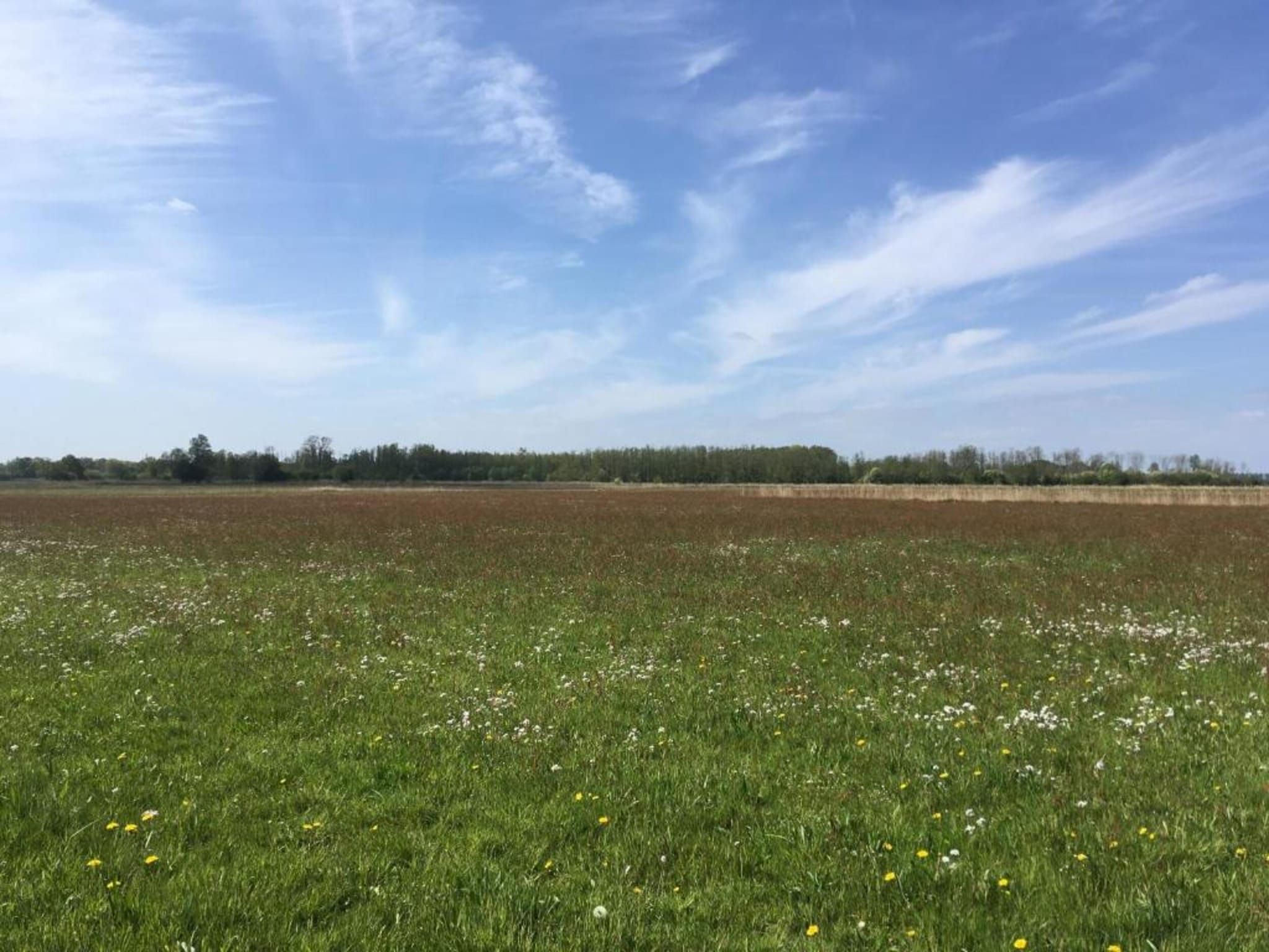 De omgeving van Duinresort Dunimar 1 in Noordwijkerhout