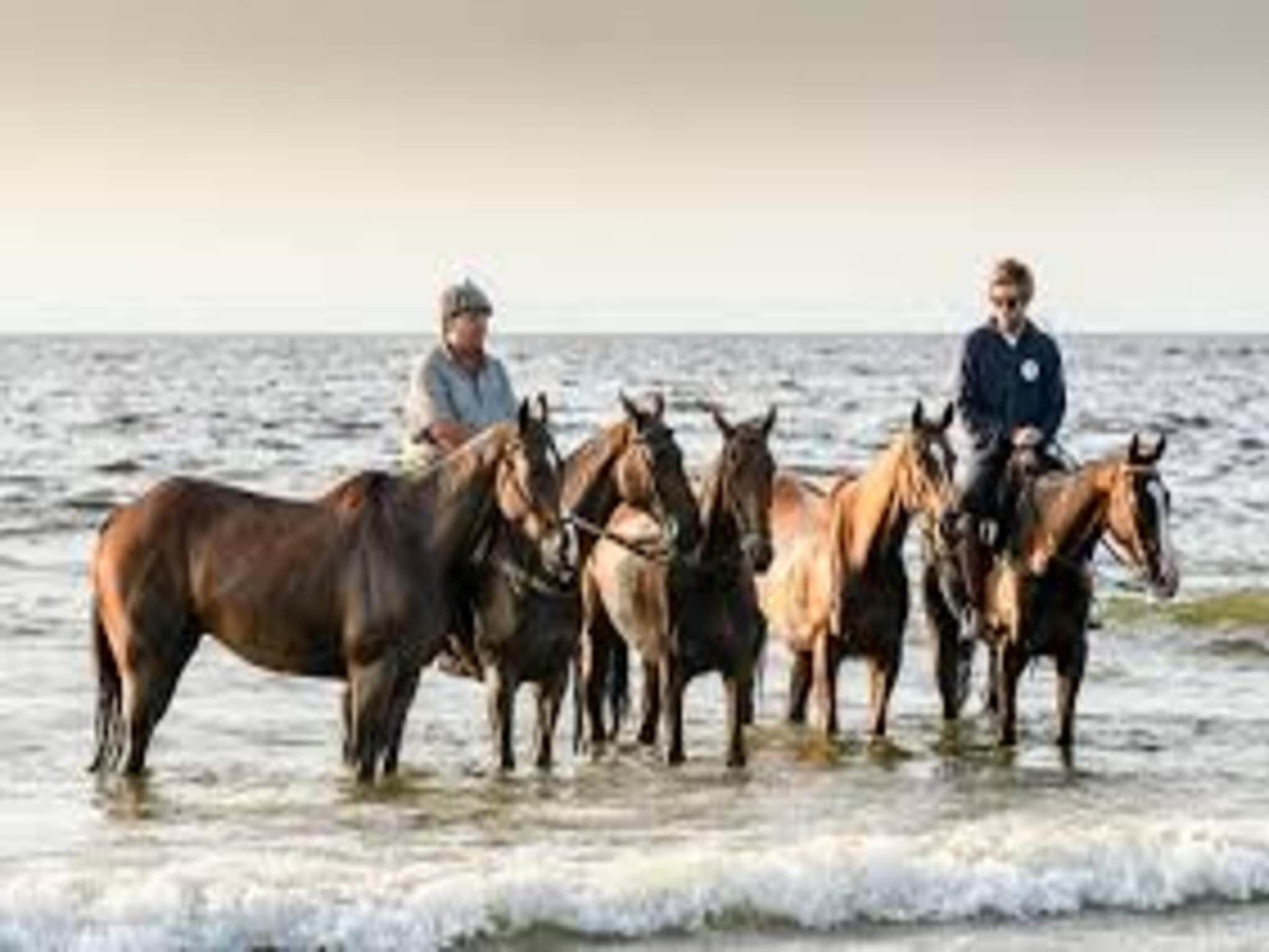 Duinresort Dunimar 1 in Noordwijkerhout - Foto 37 van 40