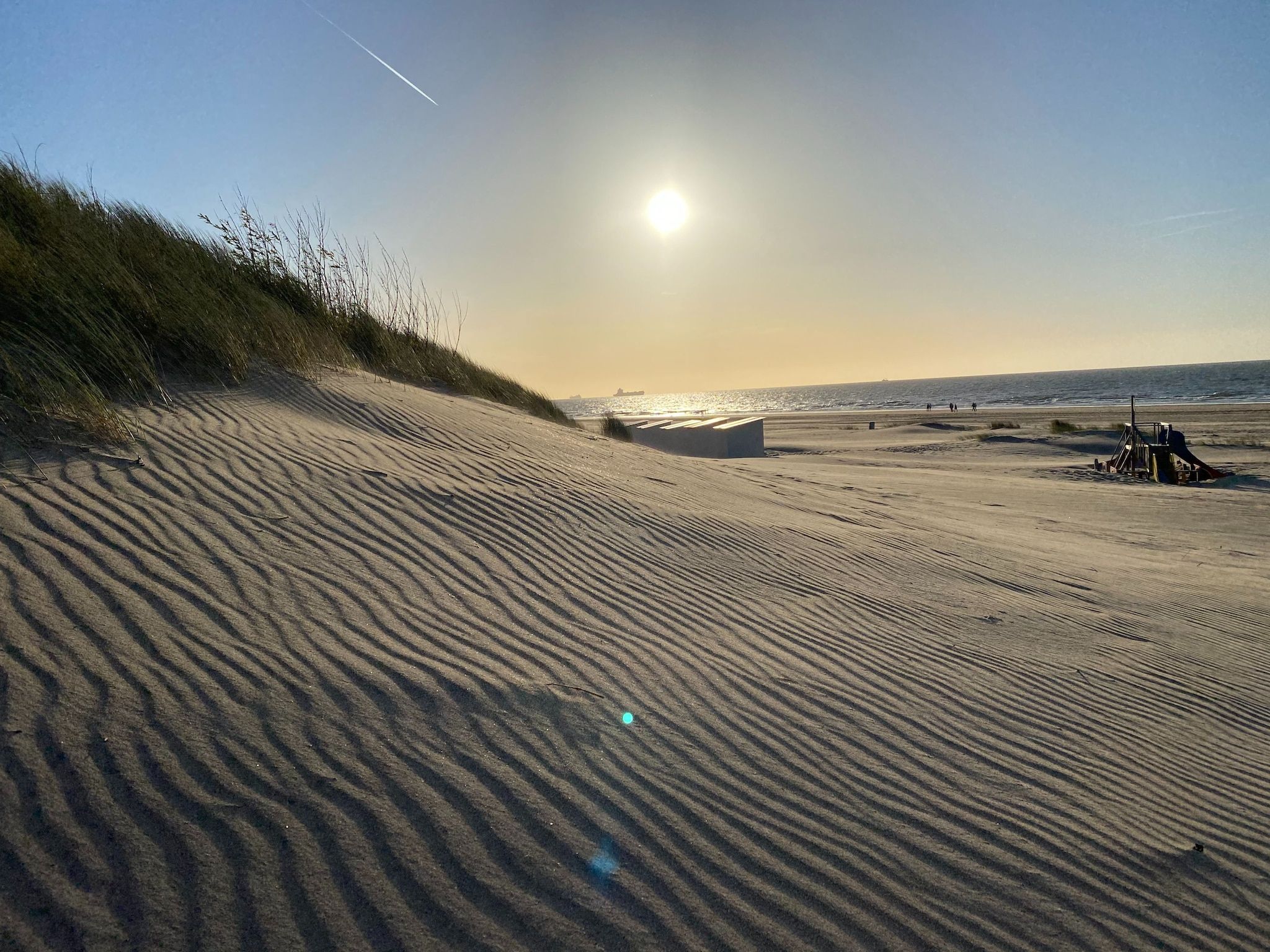Sfeerbeeld van Lepelblad 44 in Nieuwvlietbad