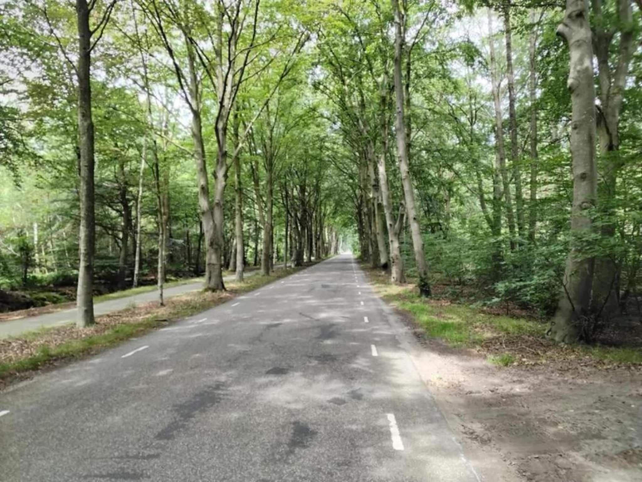 Scharsterlaan 9 in Boornzwaag - Foto 12 van 31