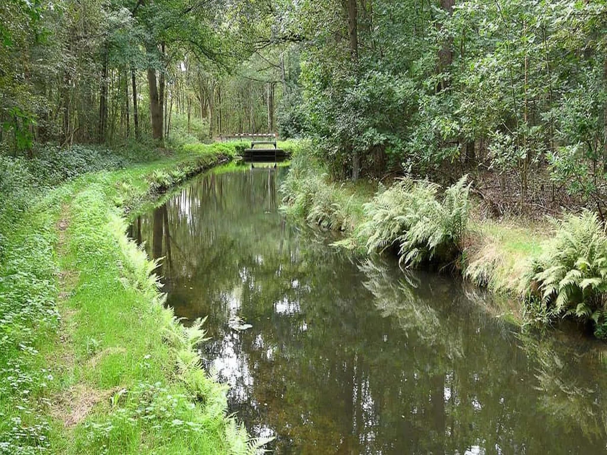 De omgeving van Huisje 84 in Stegeren