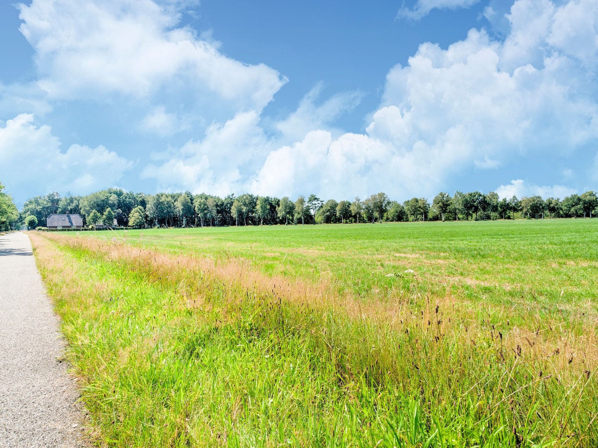 Huisje 84 in Stegeren - Foto 30 van 40