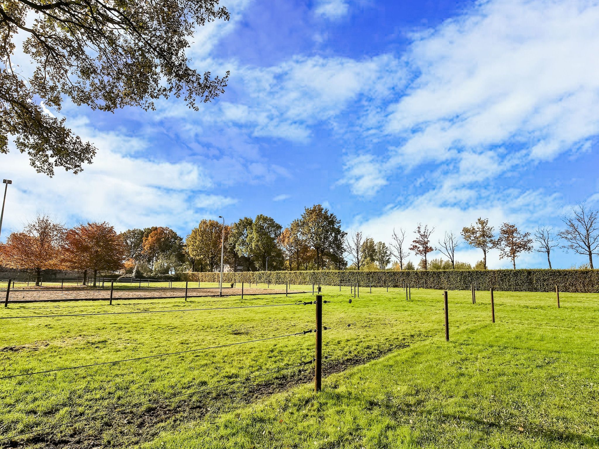 Het Eikeltje in Tripscompagnie - Foto 39 van 40