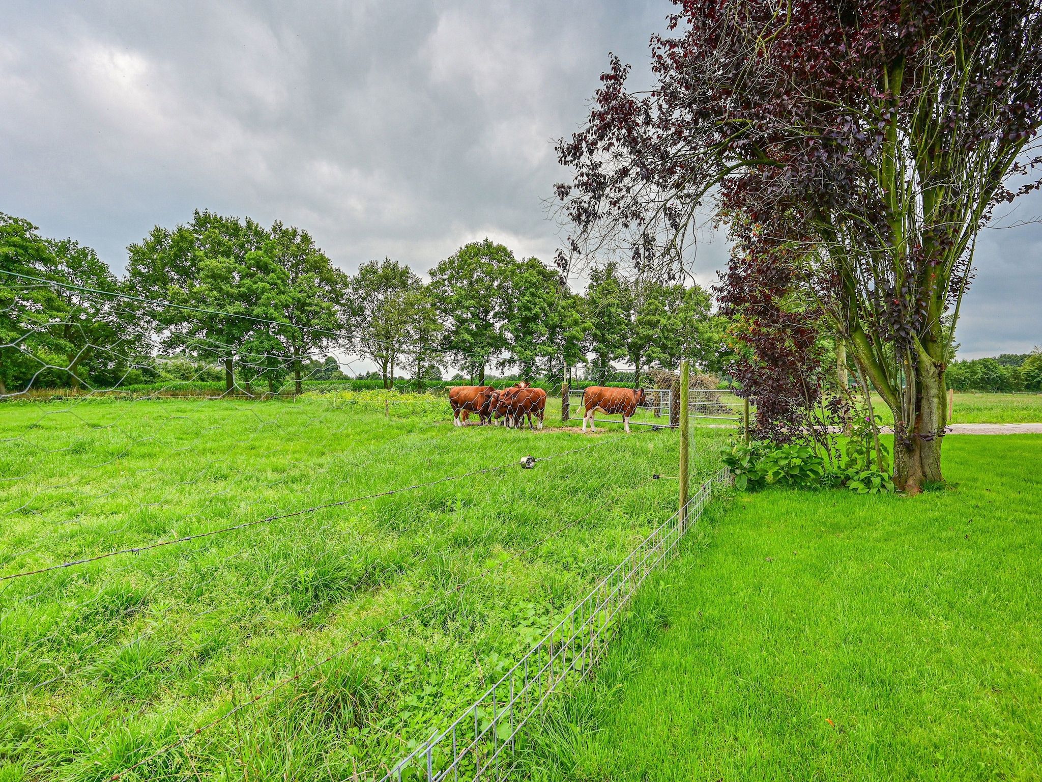 Het uitzicht vanaf Welskerveen 5 in De Heurne