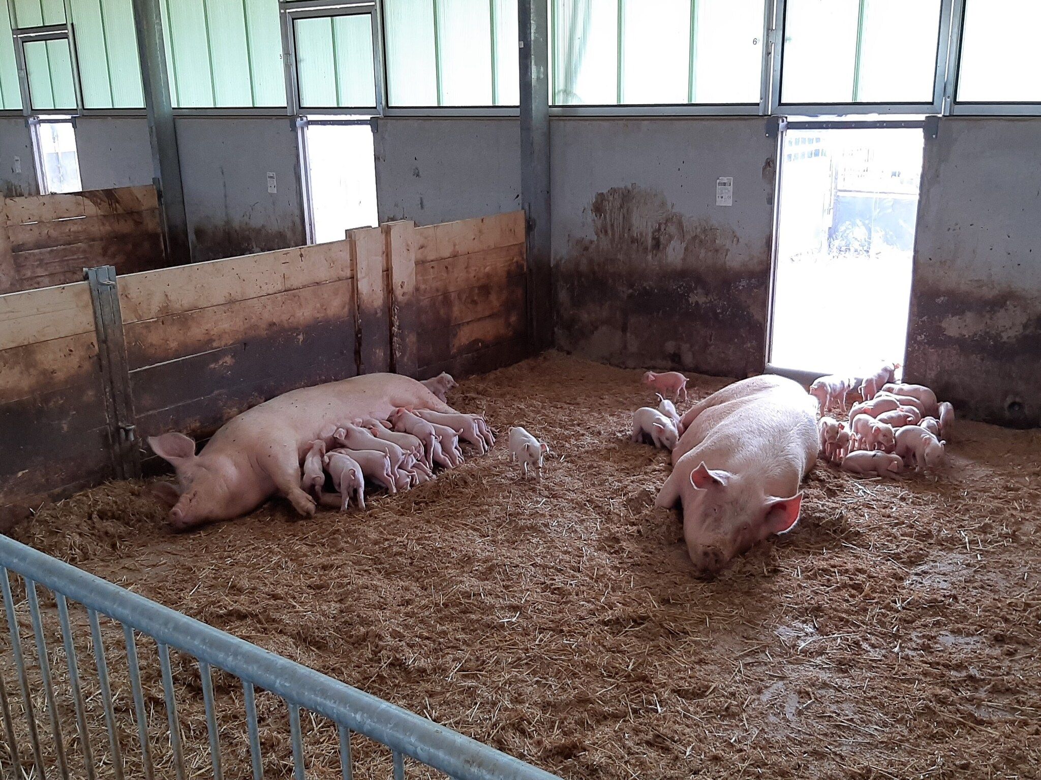 Welskerveen 5 in De Heurne - Foto 38 van 40