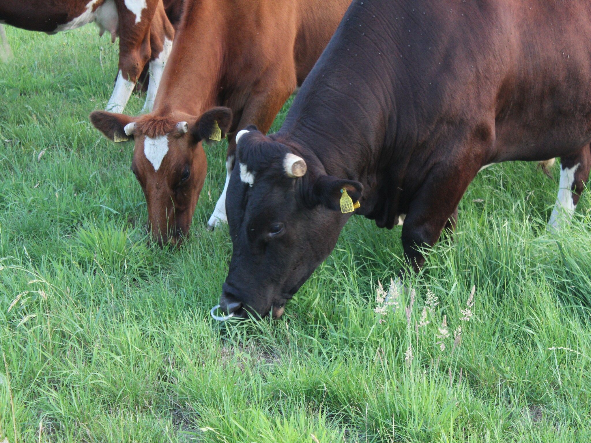 Voorzieningen bij Welskerveen 5 in De Heurne
