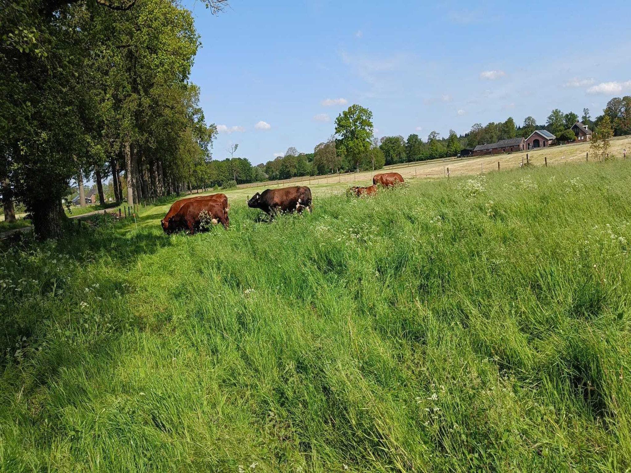Voorzieningen bij Welskerveen 5 in De Heurne