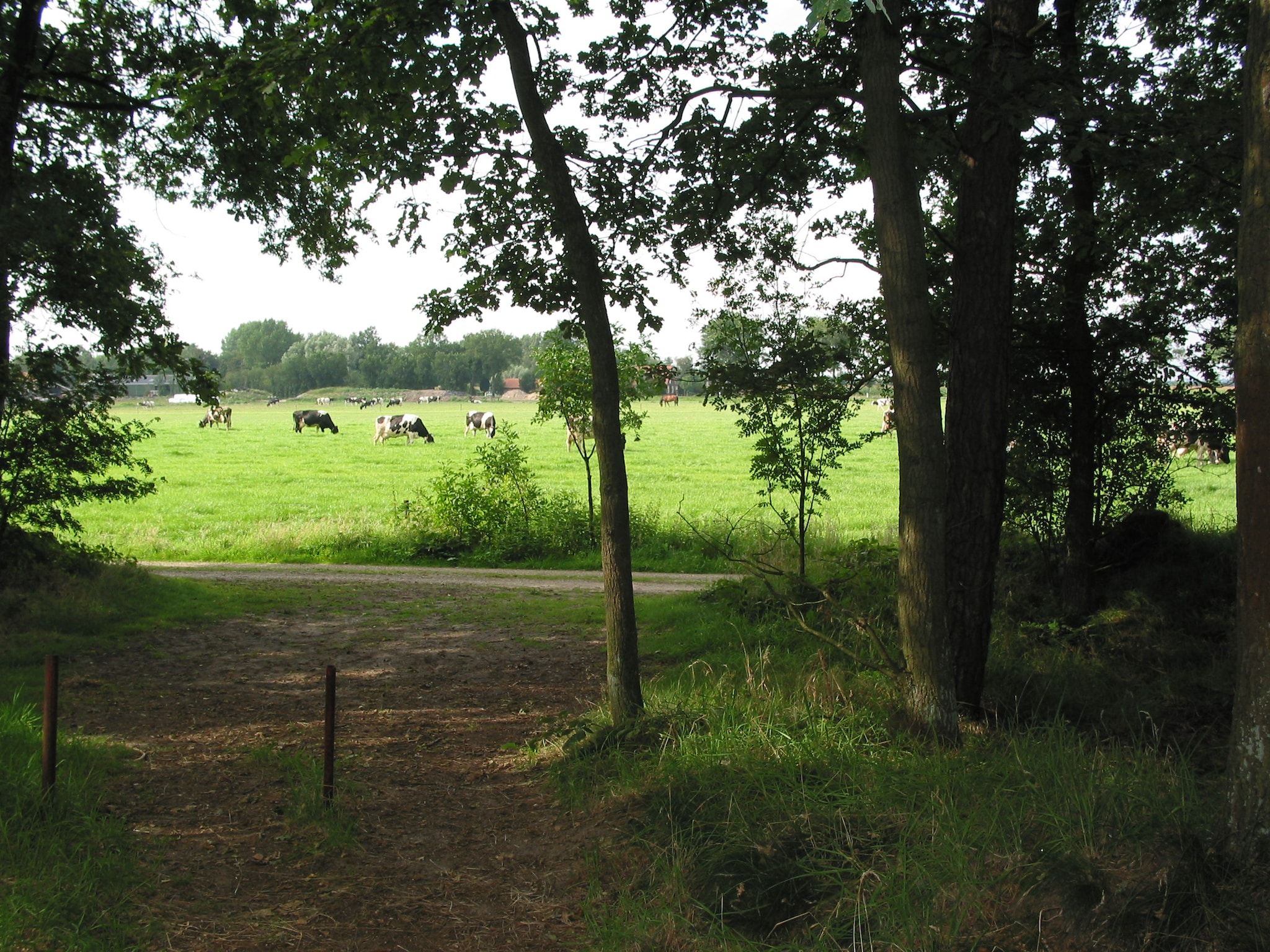 Vakantiepark Herperduin 16 in Herpen - Foto 19 van 40