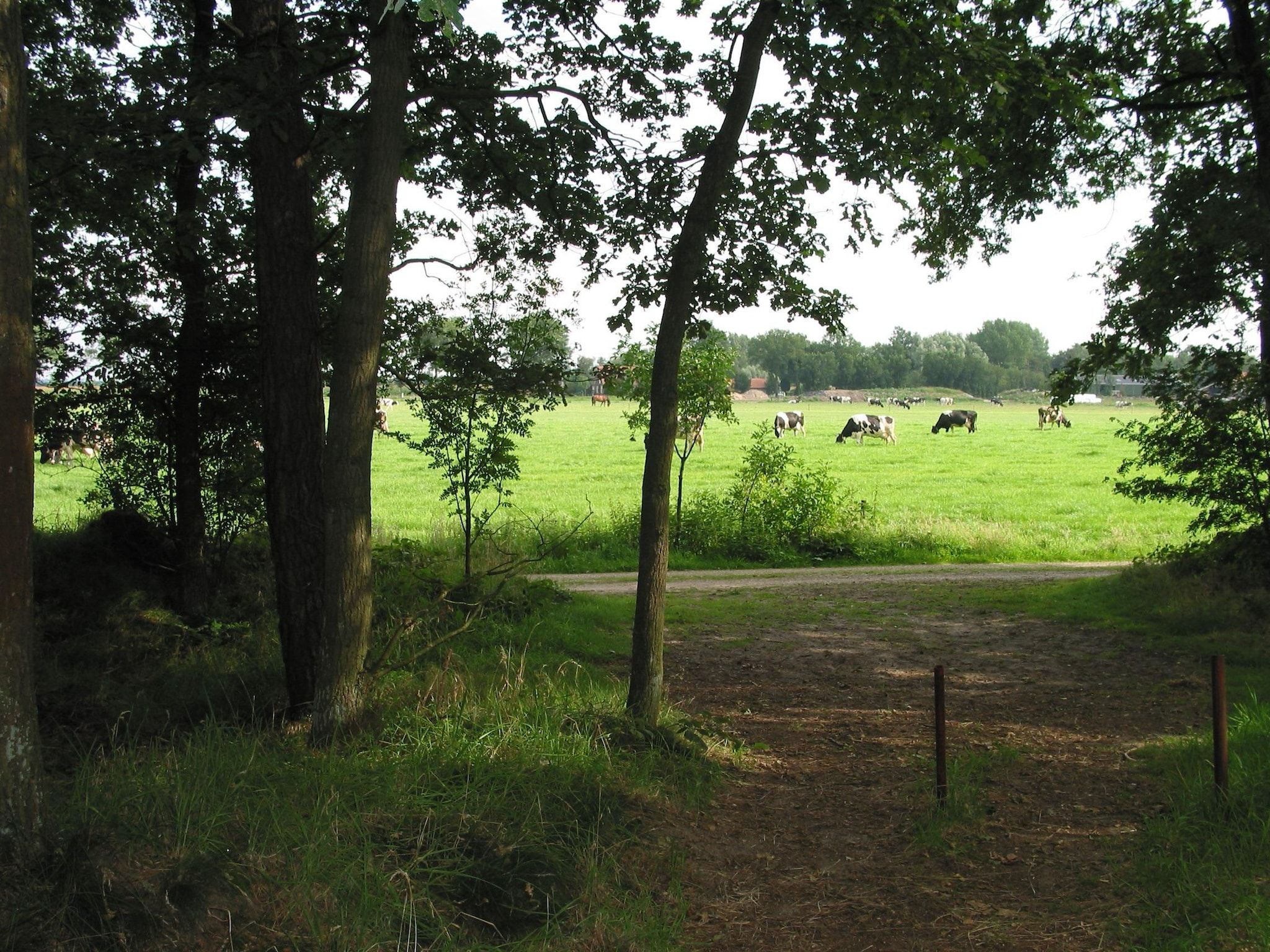 Parkfaciliteiten bij Vakantiepark Herperduin 16 in Herpen