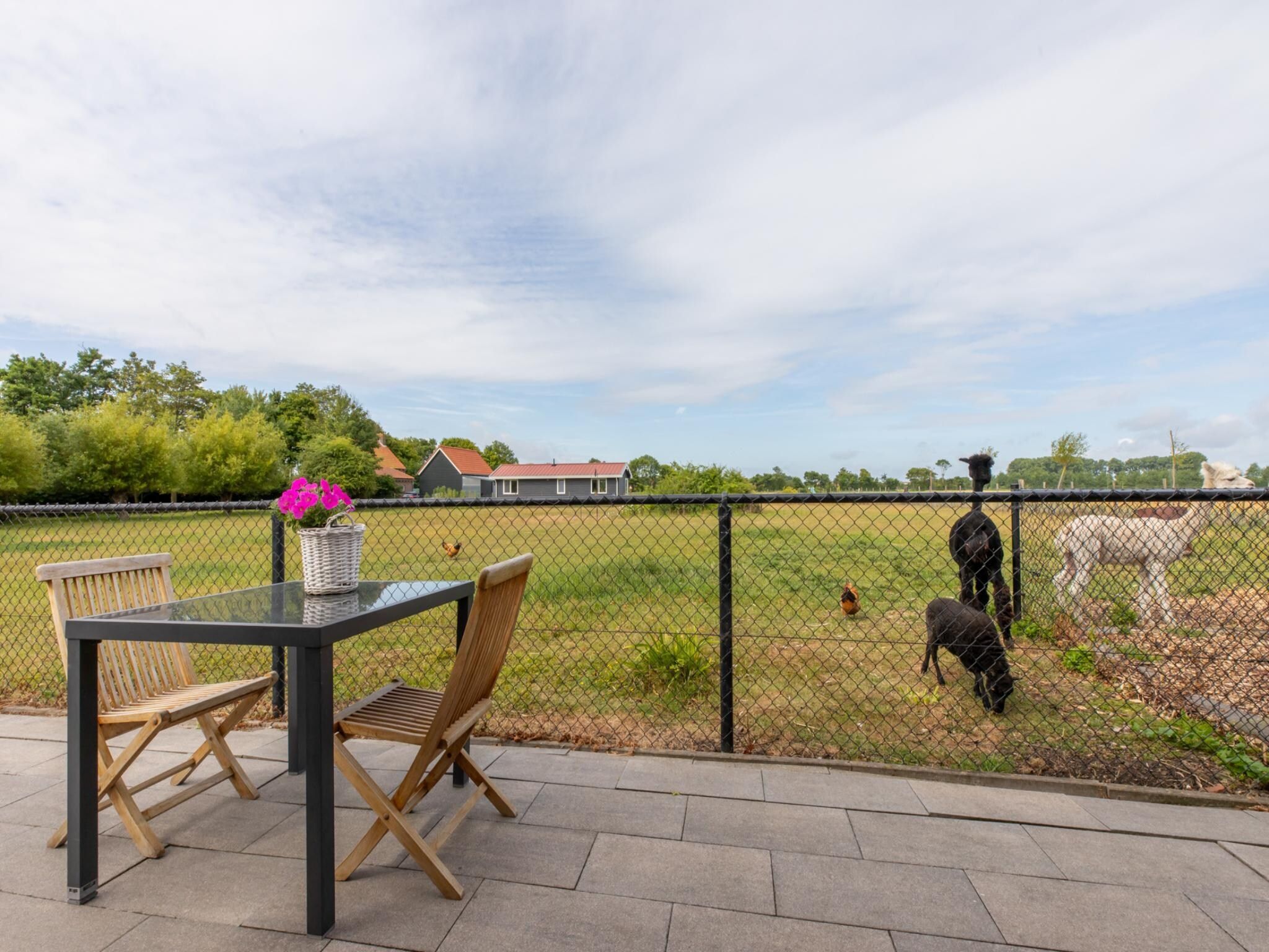 Het uitzicht vanaf Vakantiehuis Groeneweg 3 'Jikkemien in Koudekerke