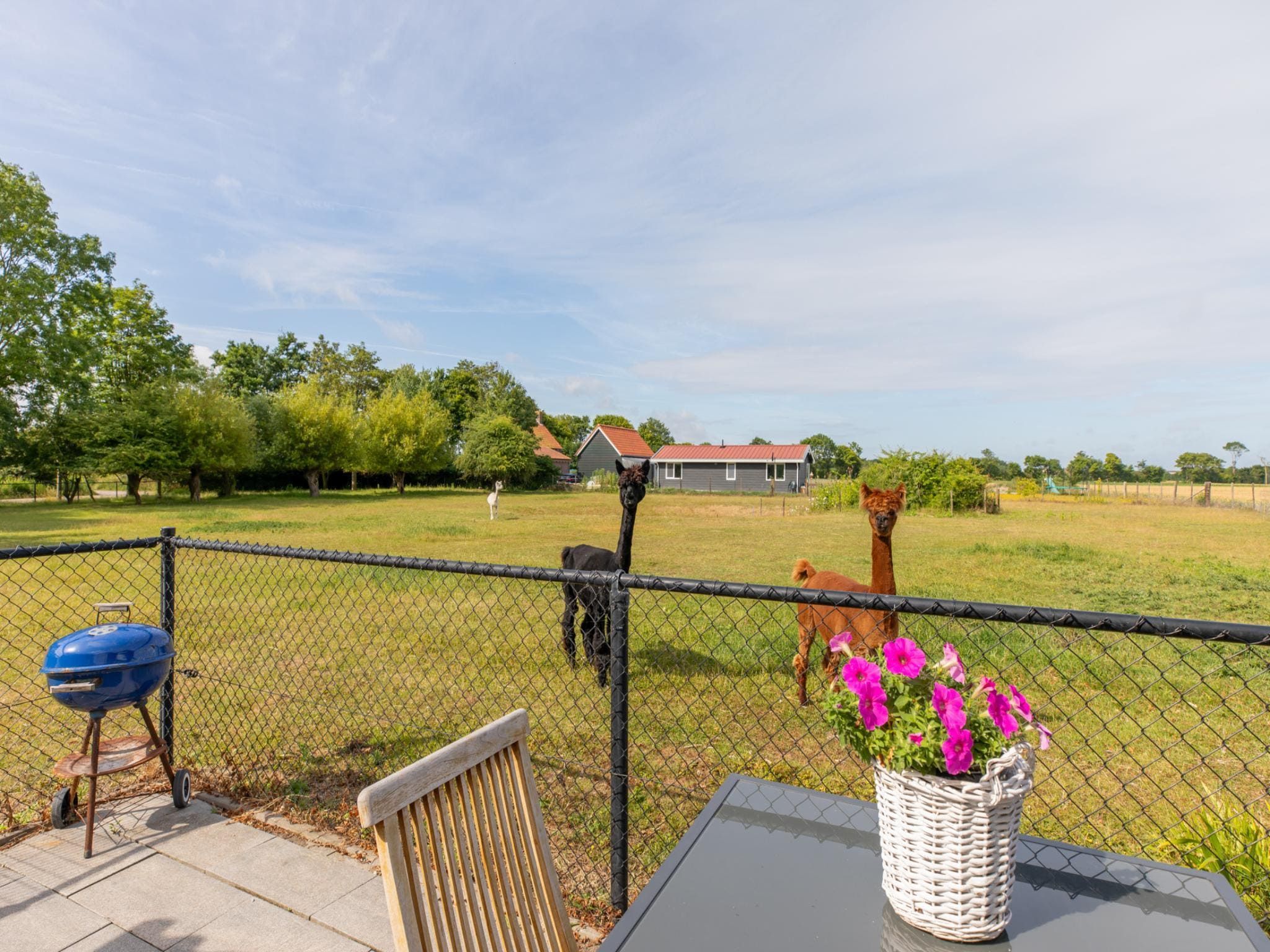 De tuin van Vakantiehuis Groeneweg 3 'Jikkemien in Koudekerke