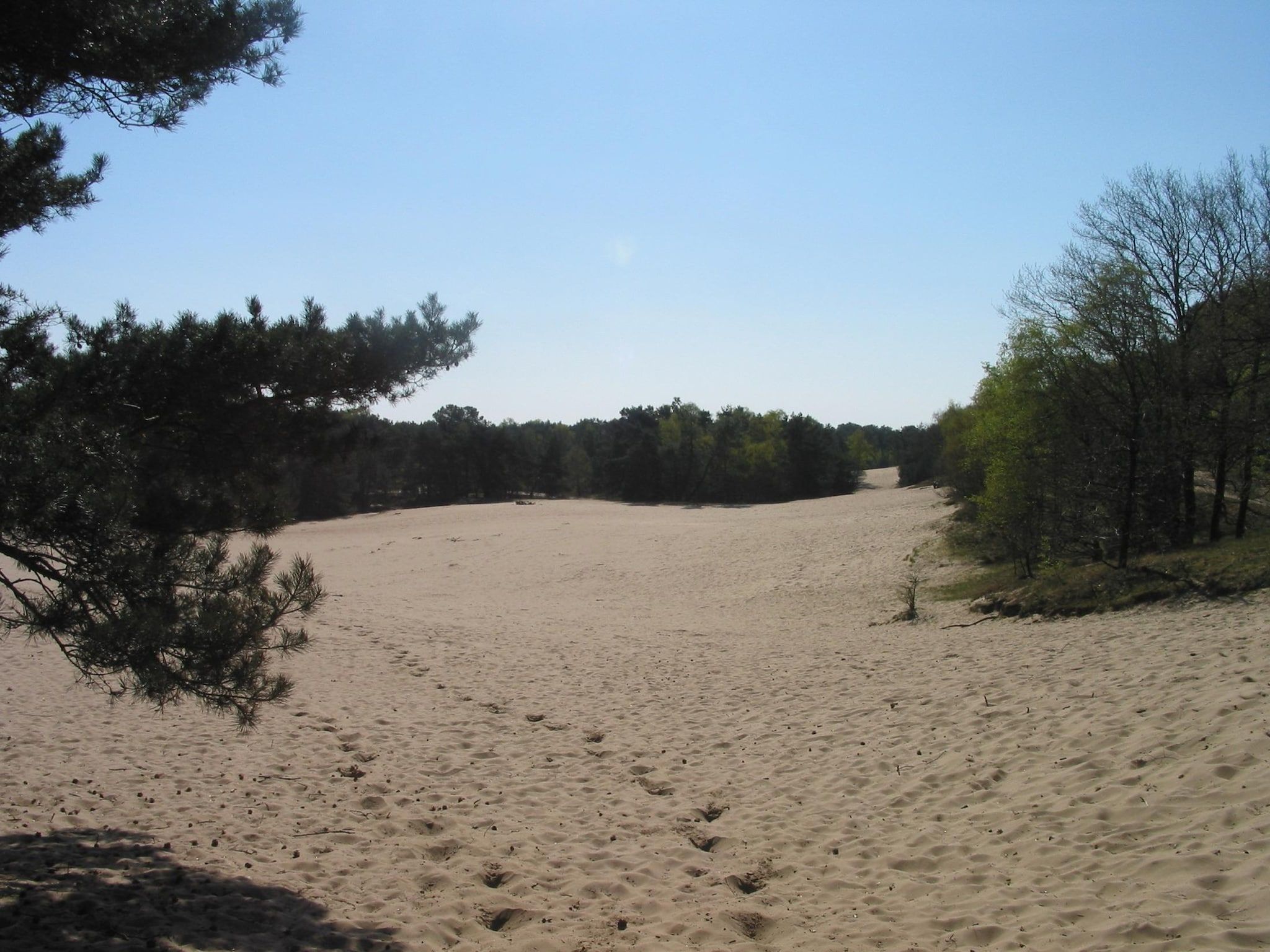 Vakantiepark Herperduin 17 in Herpen - Foto 19 van 31