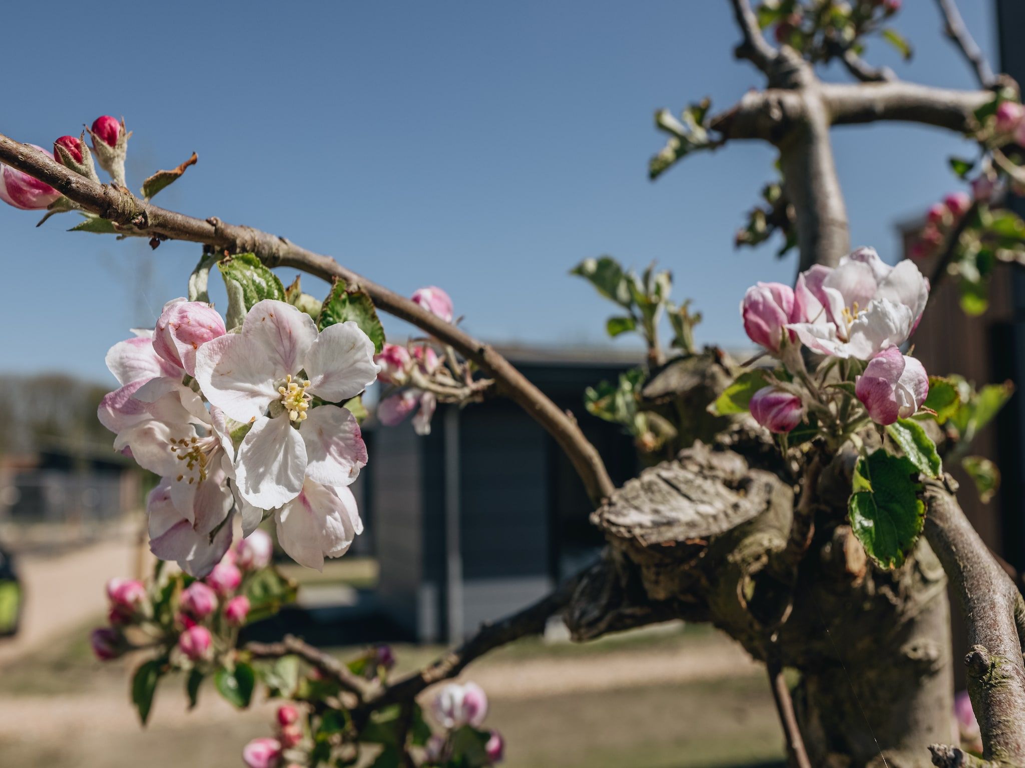 Sfeerbeeld van Park Wijdenes 3 in Wijdenes