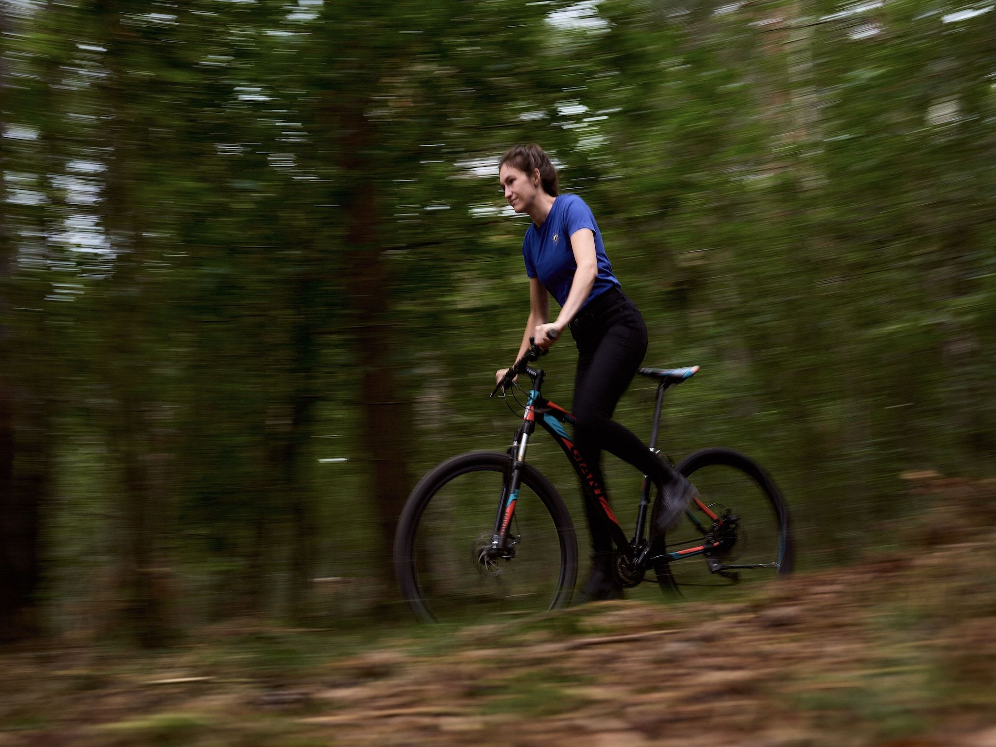 De omgeving van Landgoed De IJsvogel 11 in Voorthuizen