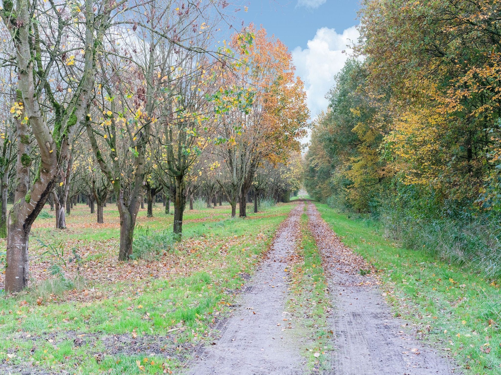 Zonnig Hosterwold in Zeewolde - Foto 38 van 40