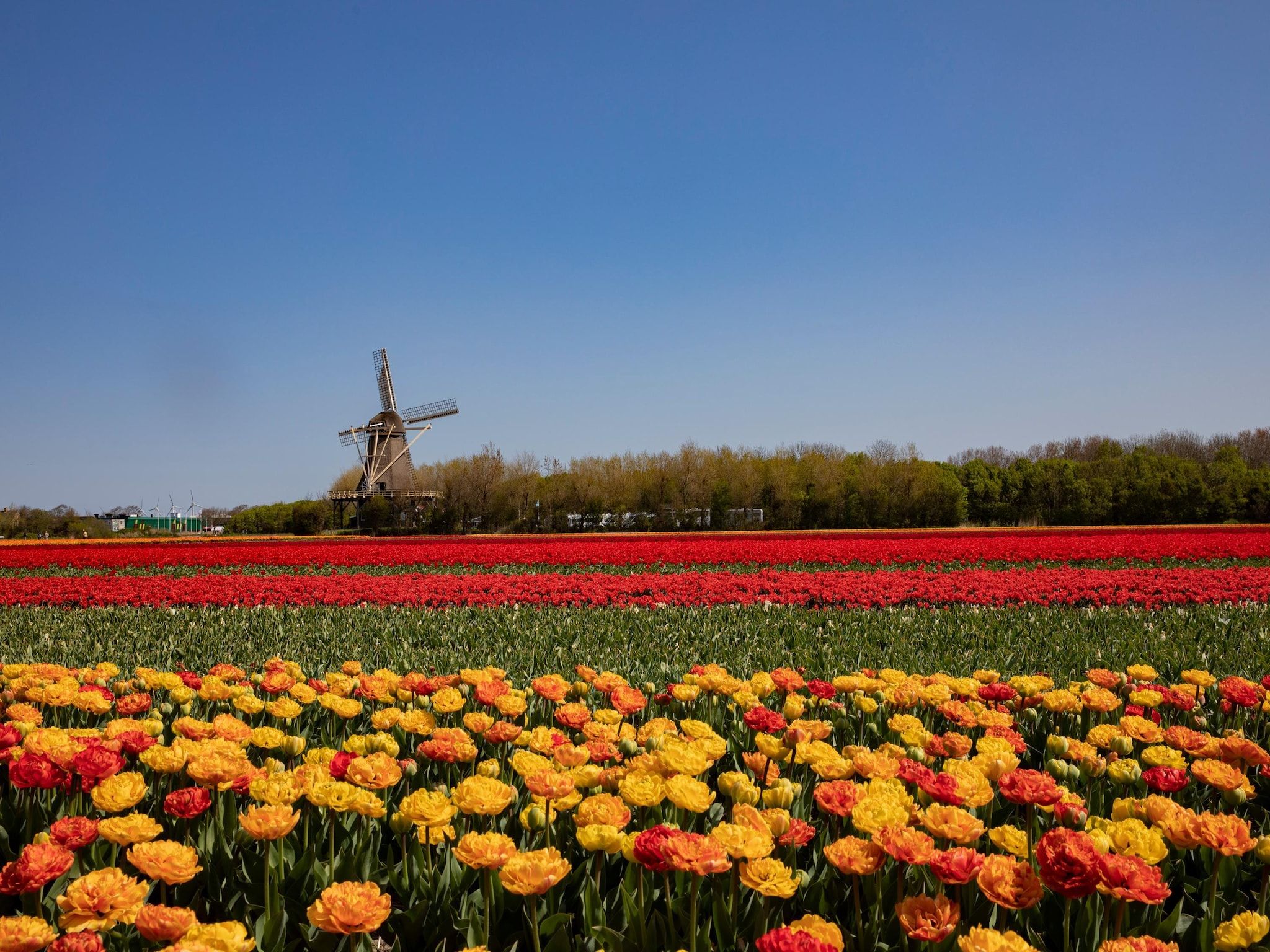 Resort Callantsoog 2 in Callantsoog - Foto 20 van 40