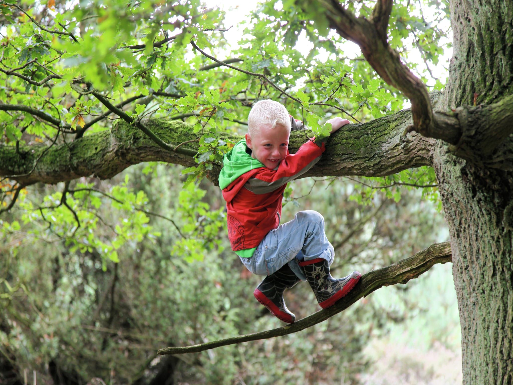 Sfeerbeeld van Recreatiepark Tolplas 16 in Hoge Hexel
