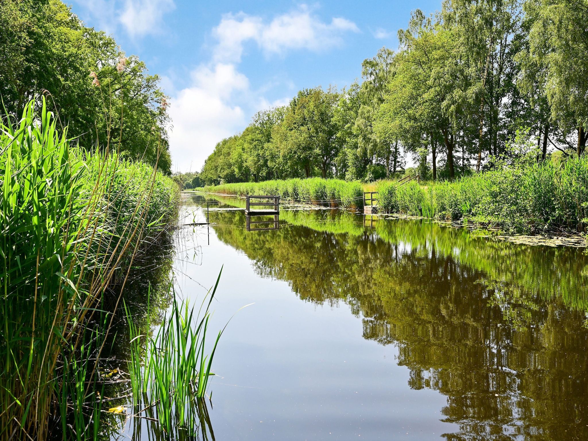 De omgeving van Uitzicht in Reutum
