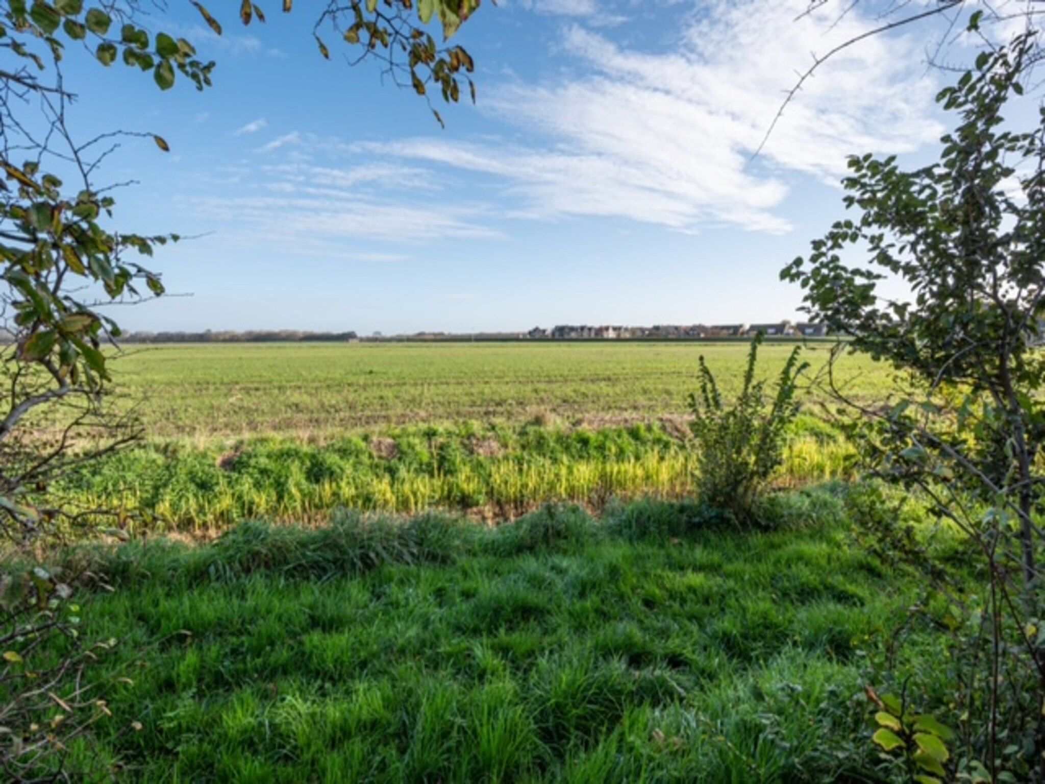 Het uitzicht vanaf Chalet Sea Rocks in Goedereede