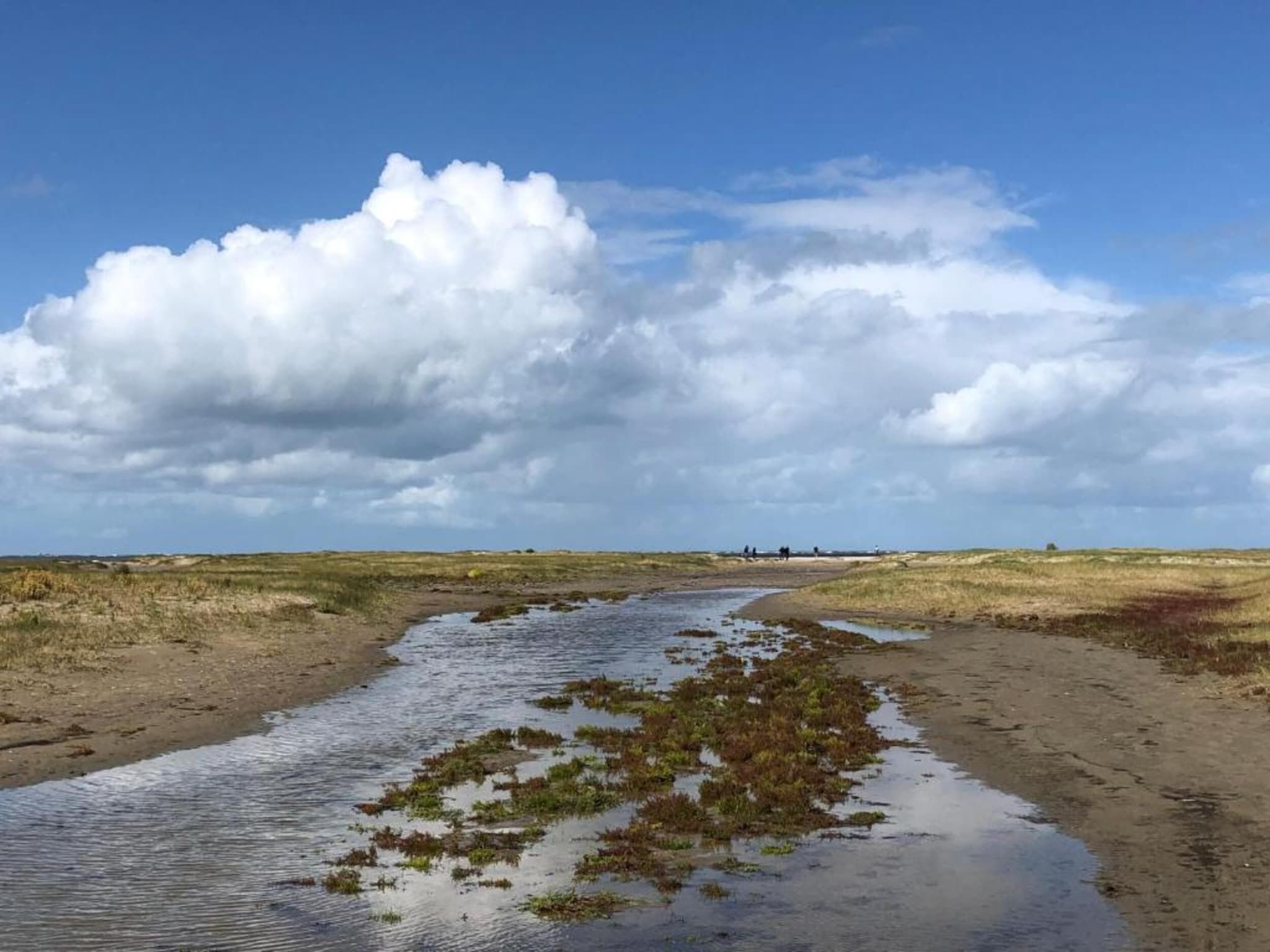 De omgeving van Chalet Sea Rocks in Goedereede
