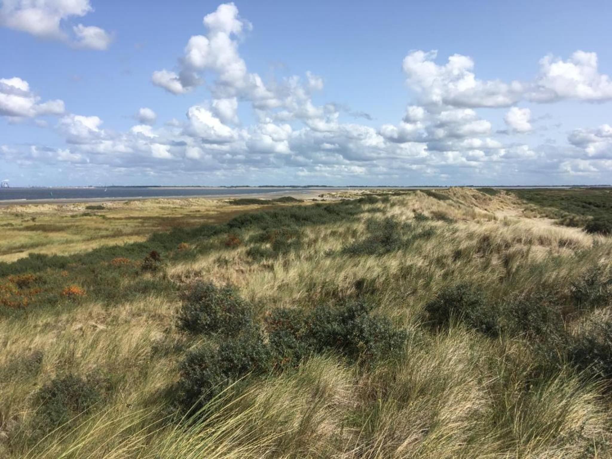 Chalet Sea Rocks in Goedereede - Foto 38 van 40