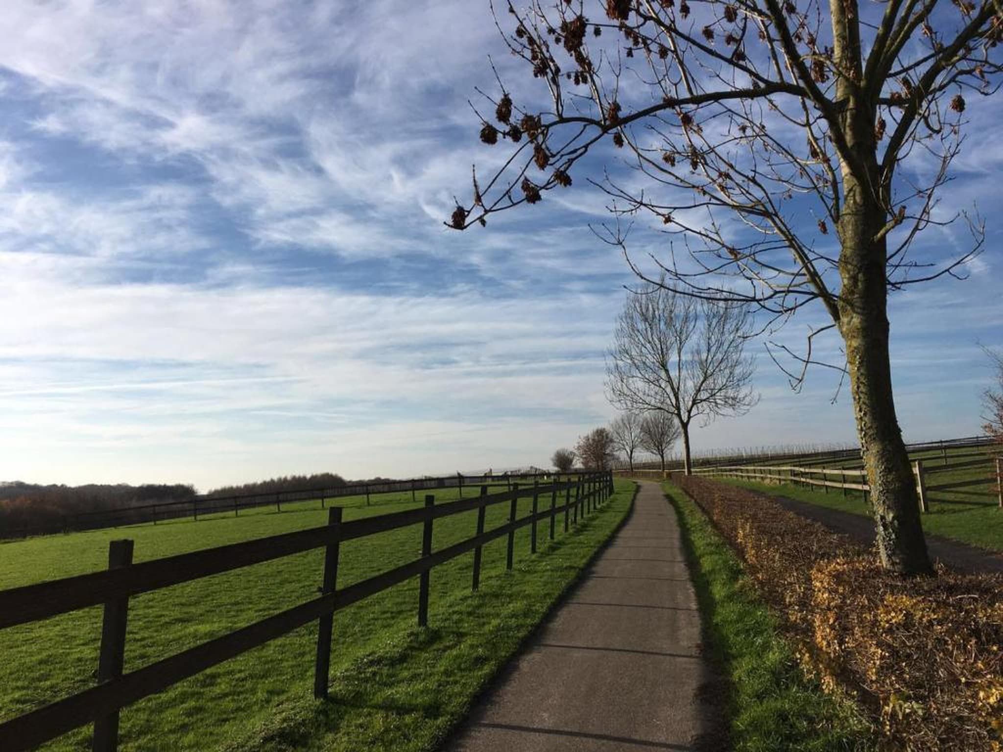 Resort Gulpen 3 in Gulpen - Foto 30 van 40