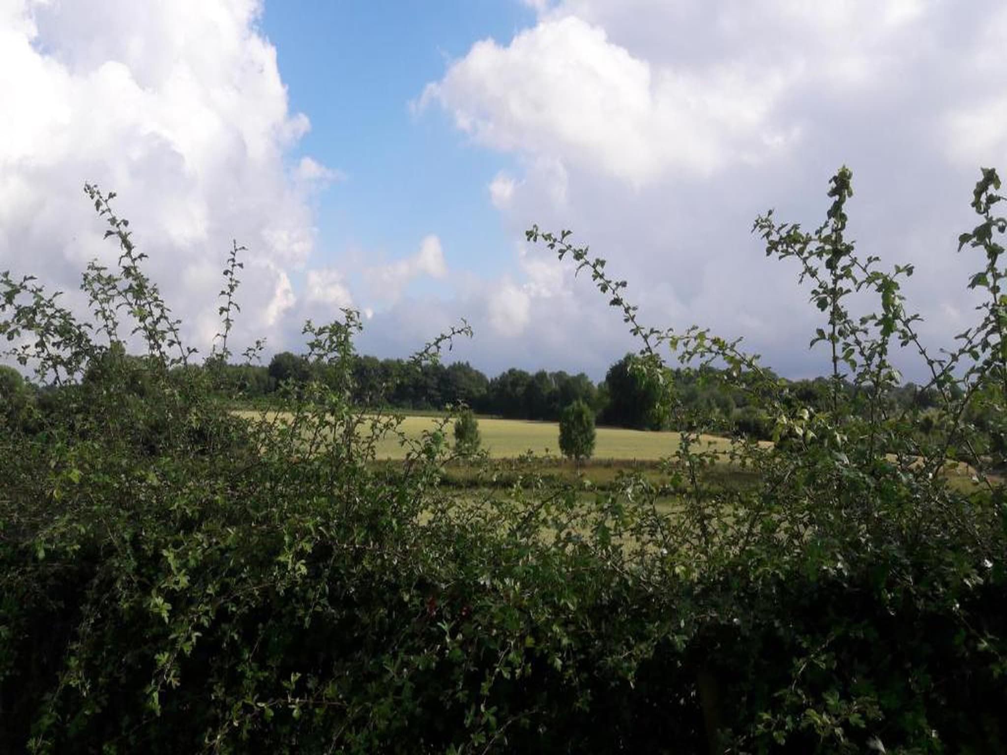 Resort Gulpen 8 in Gulpen - Foto 34 van 40