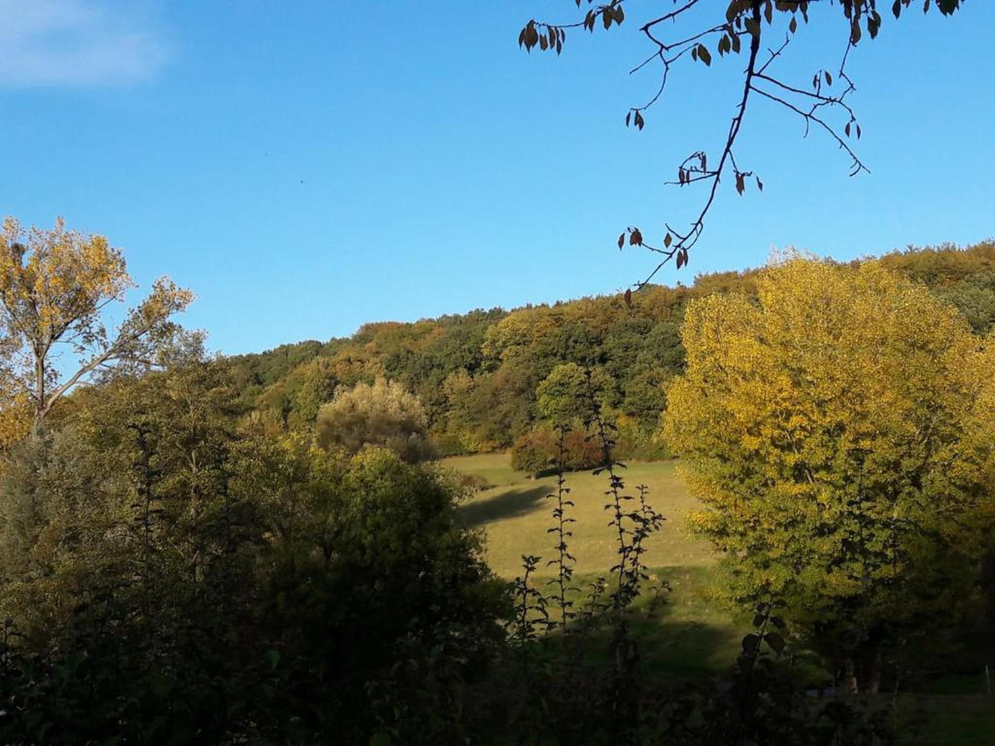 Resort Gulpen 9 in Gulpen - Foto 34 van 40