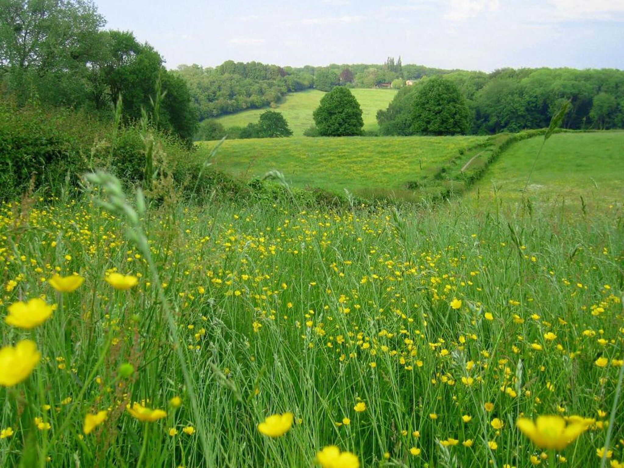 Resort Gulpen 9 in Gulpen - Foto 33 van 40