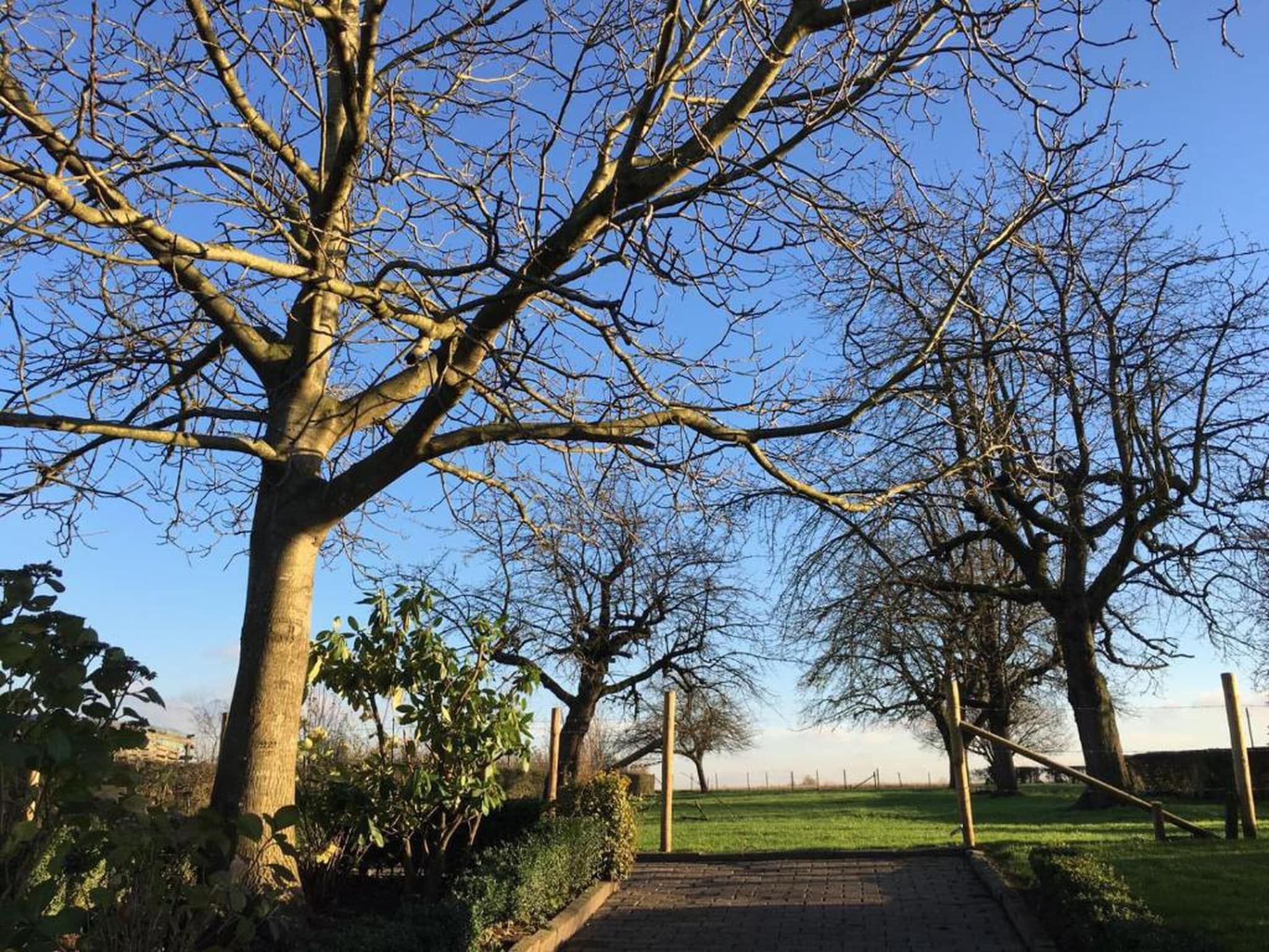 Resort Gulpen 10 in Gulpen - Foto 29 van 40