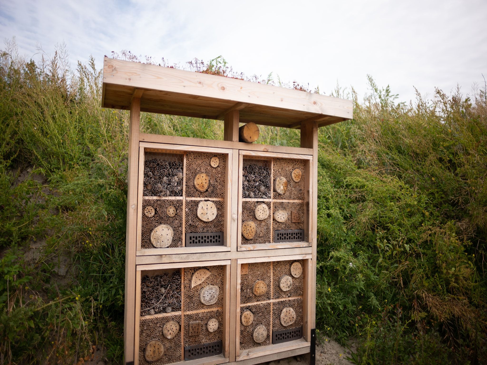 Sfeerbeeld van Resort Callantsoog 4 in Callantsoog