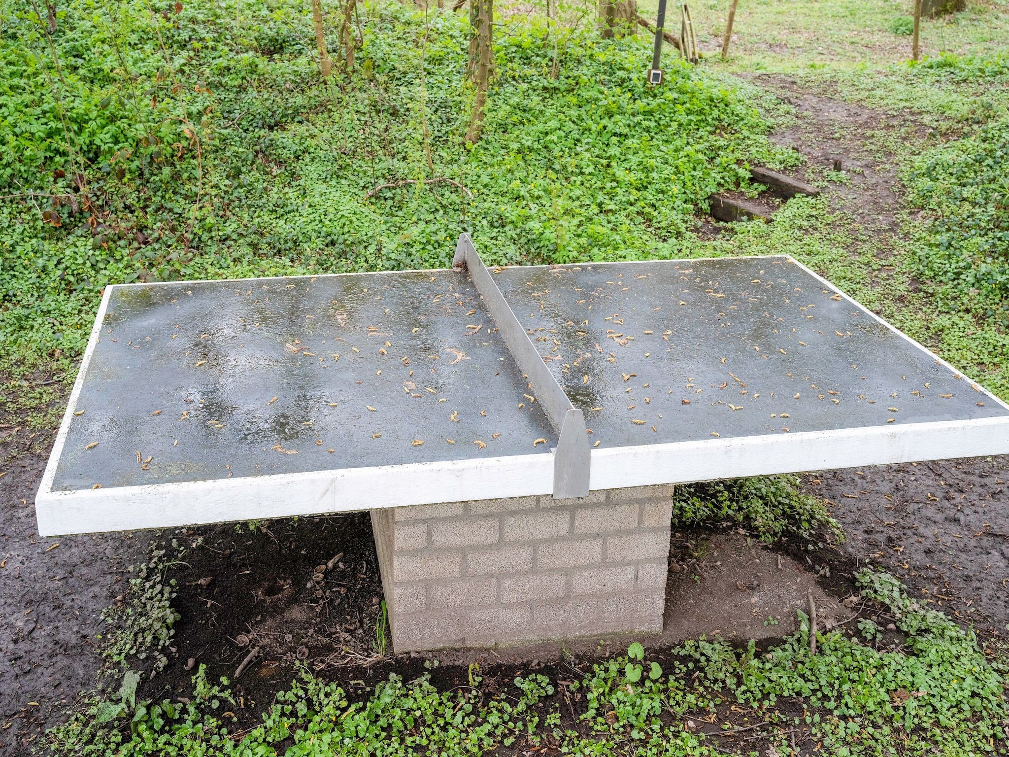 Parkfaciliteiten bij Vliek 14P in Ulestraten