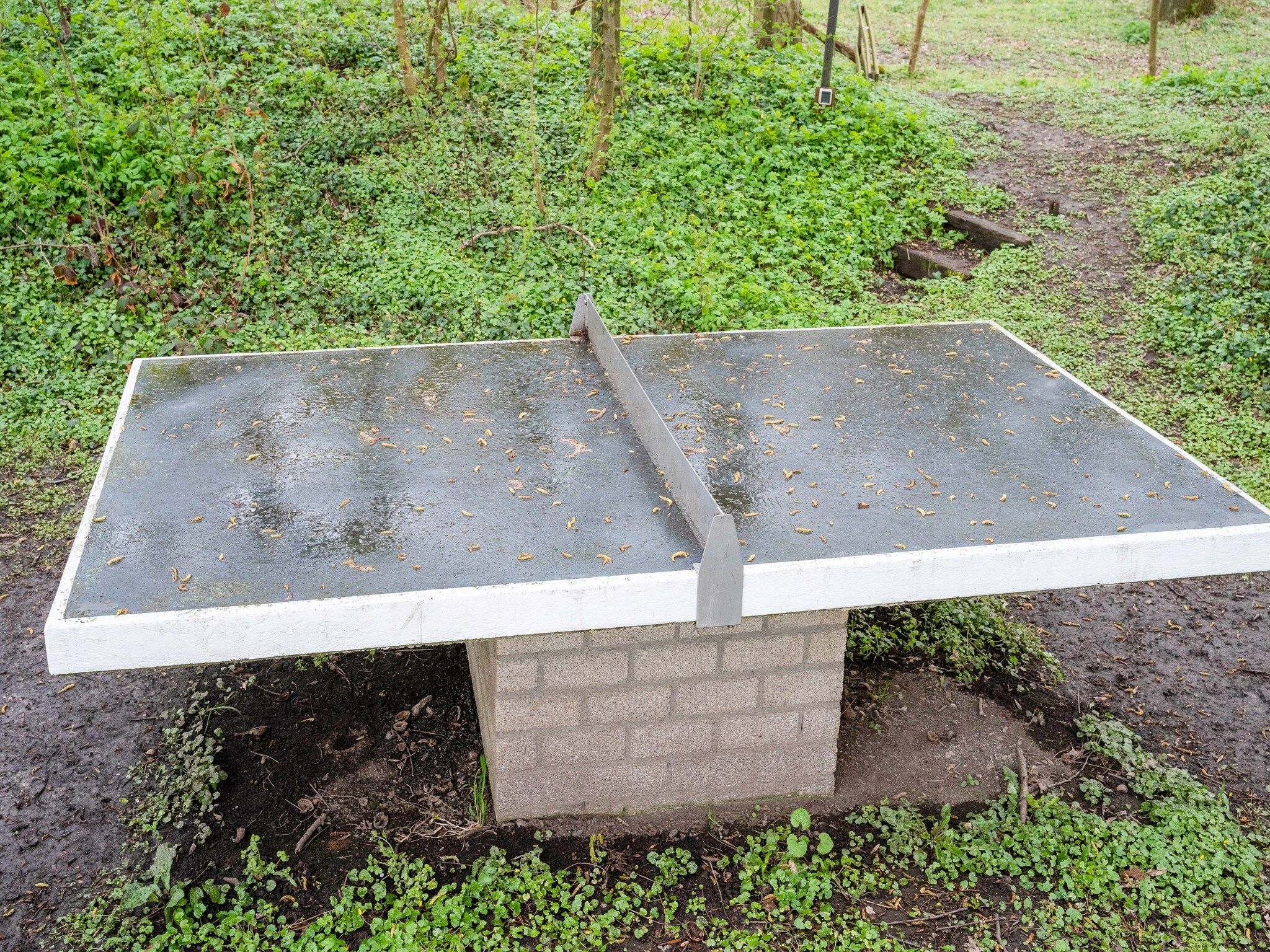 Parkfaciliteiten bij De Wingerd 10P in Ulestraten