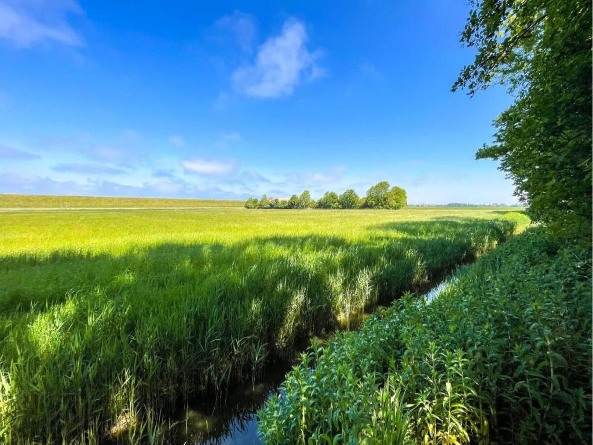 Ruim appartement in centrum Leeuwarden in Leeuwarden - Foto 26 van 40