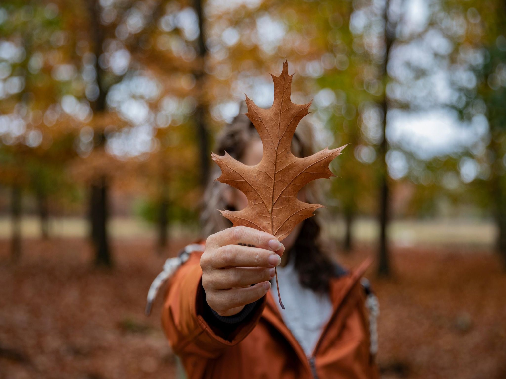 Sfeerbeeld van Vakantiepark De Heihorsten 1 in Someren