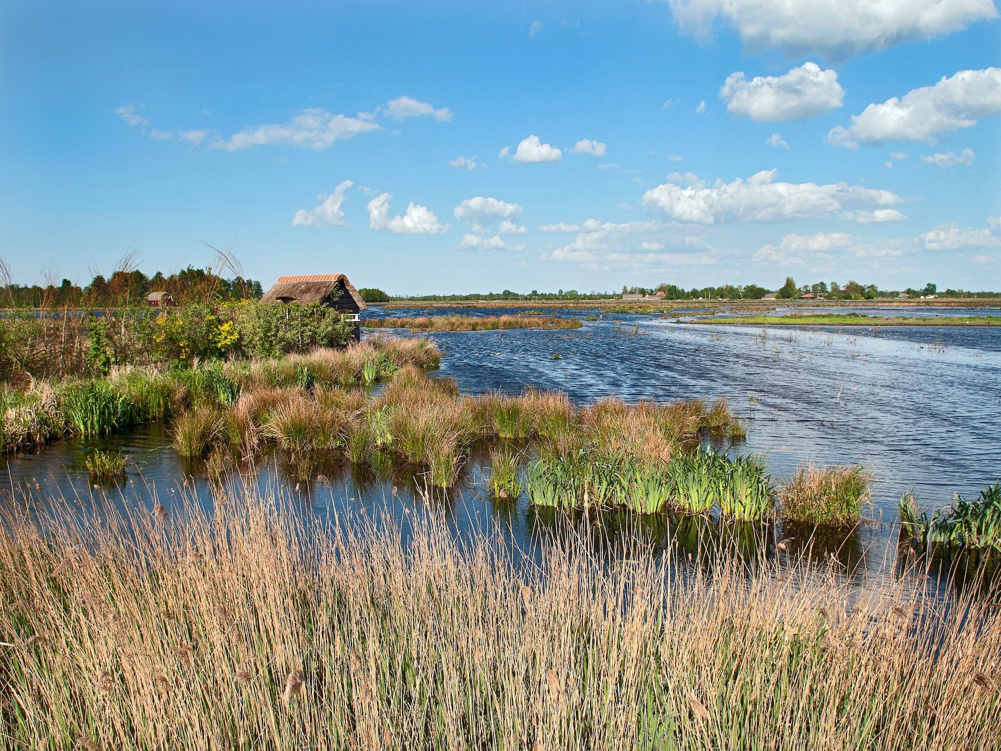 De omgeving van Knus chalet in Friesland met hottub in Suwald
