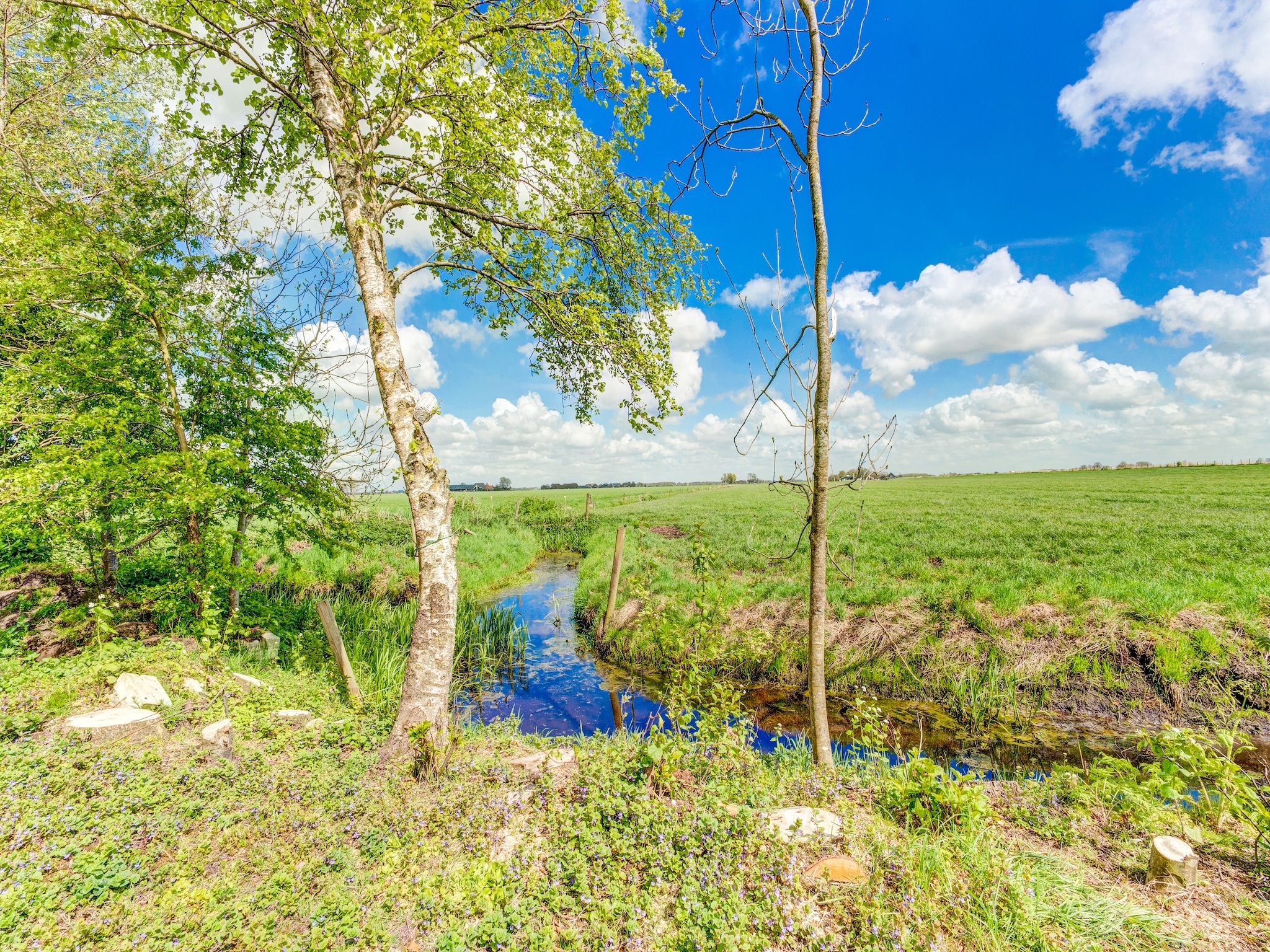 Knus chalet in Friesland met hottub in Suwald - Foto 26 van 40