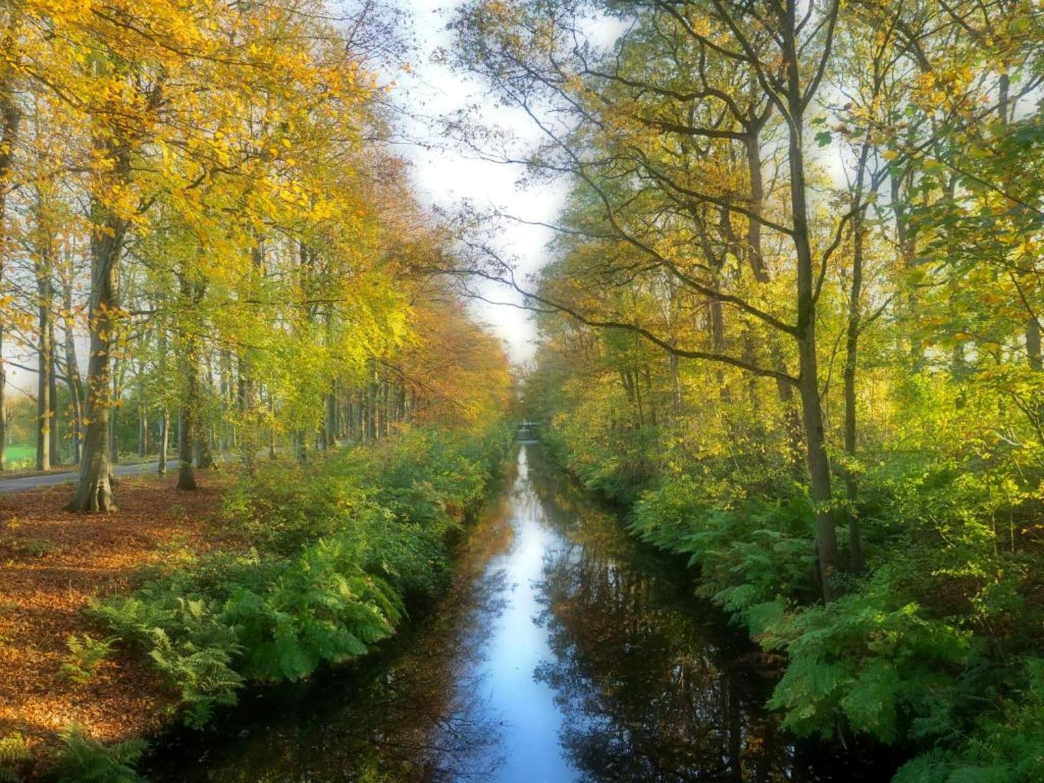 Knus chalet in Friesland met hottub in Suwald - Foto 34 van 40