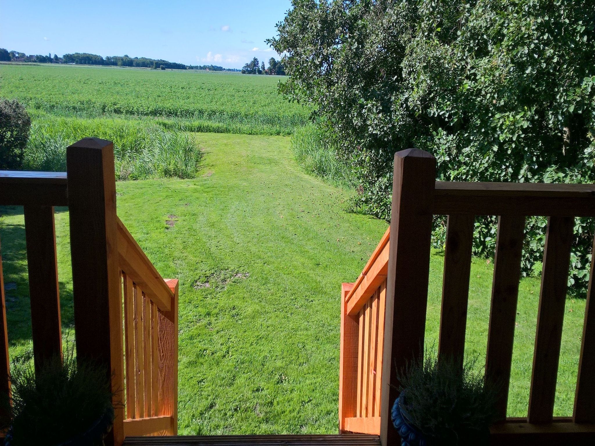 De tuin van Wol Thus in Paesens