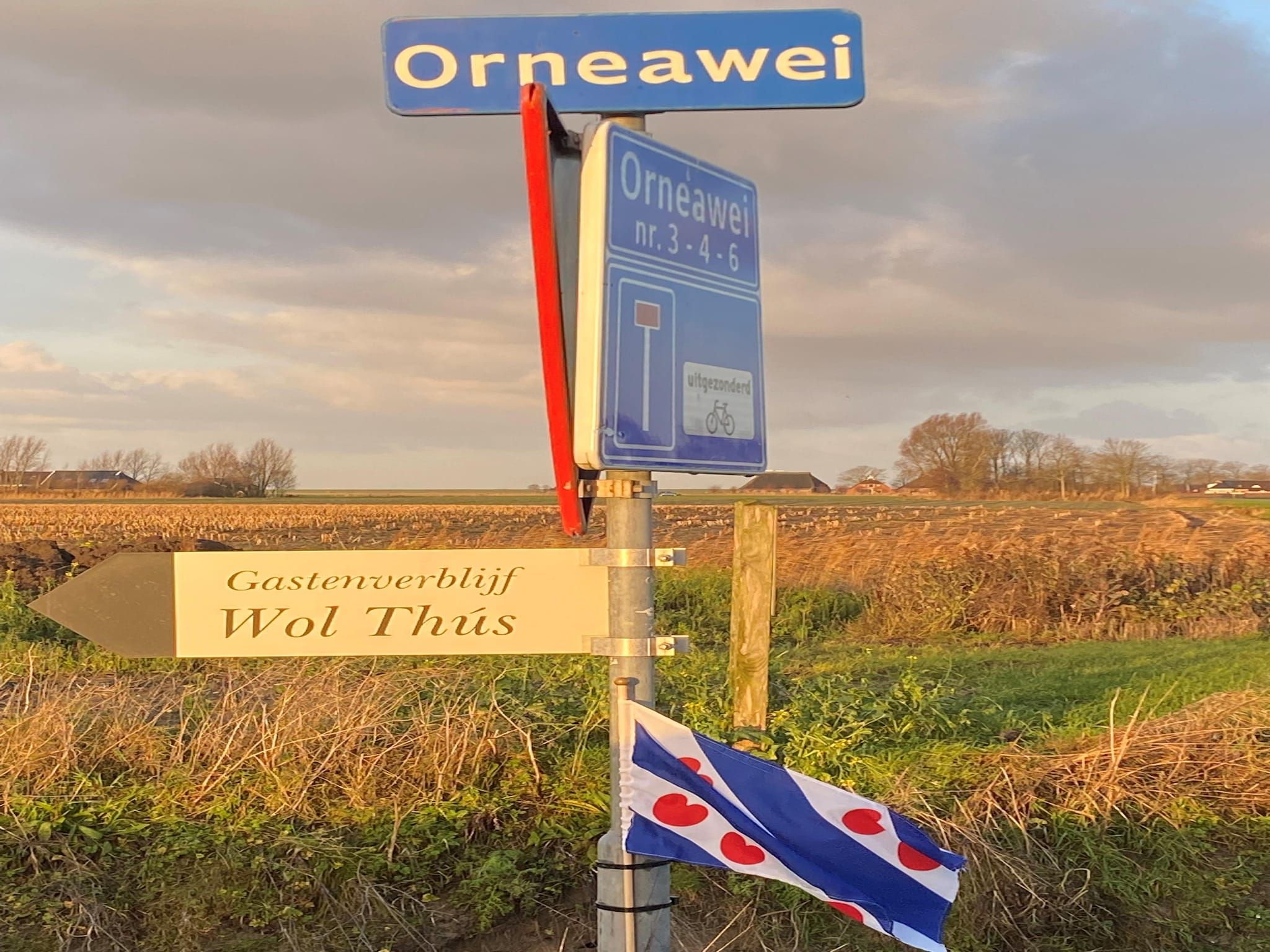 Sfeerbeeld van Wol Thus in Paesens