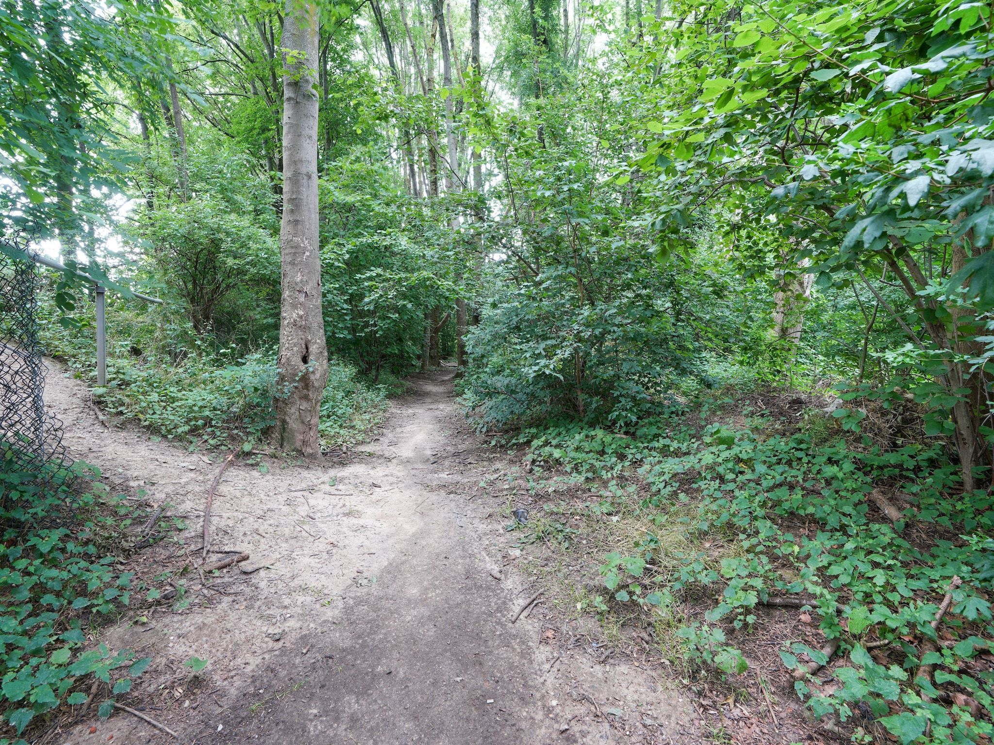 De omgeving van Vakantiewoning De Linge in Kerkrade