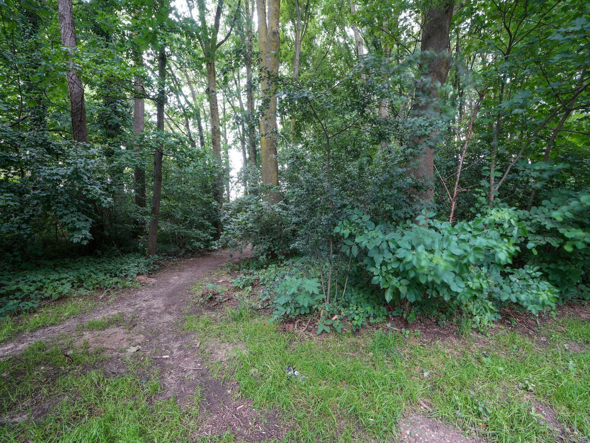 Vakantiewoning De Linge in Kerkrade - Foto 29 van 40