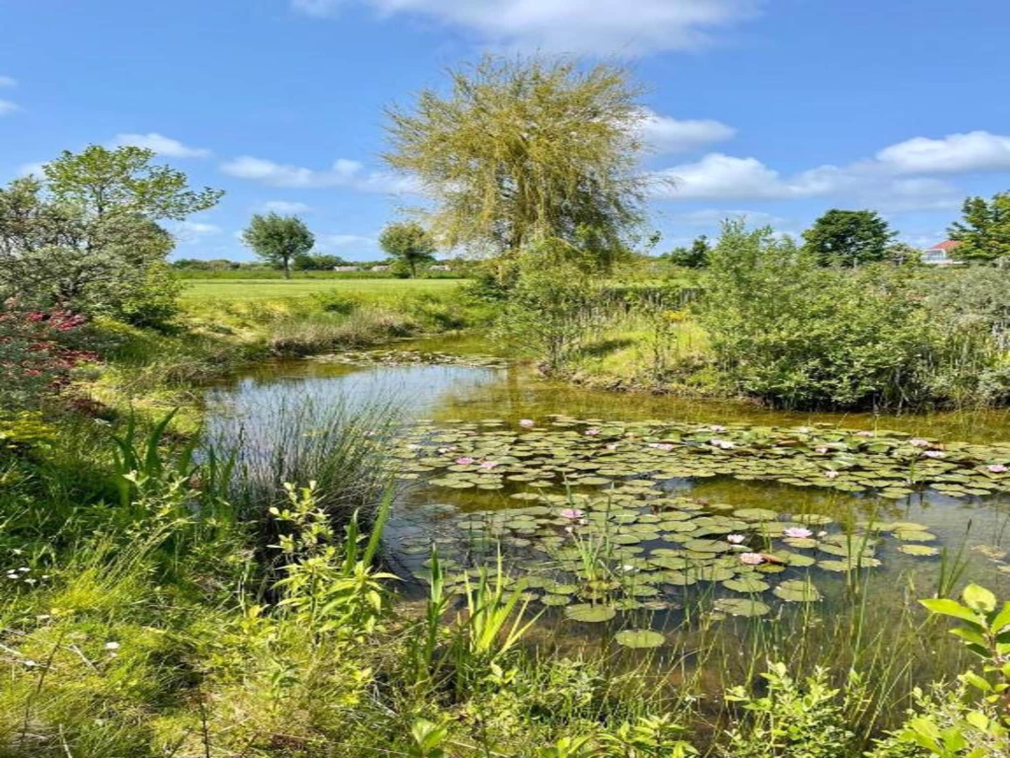 Kon Emmaweg 26 Vrouwenpolder 2p in Vrouwenpolder - Foto 14 van 33