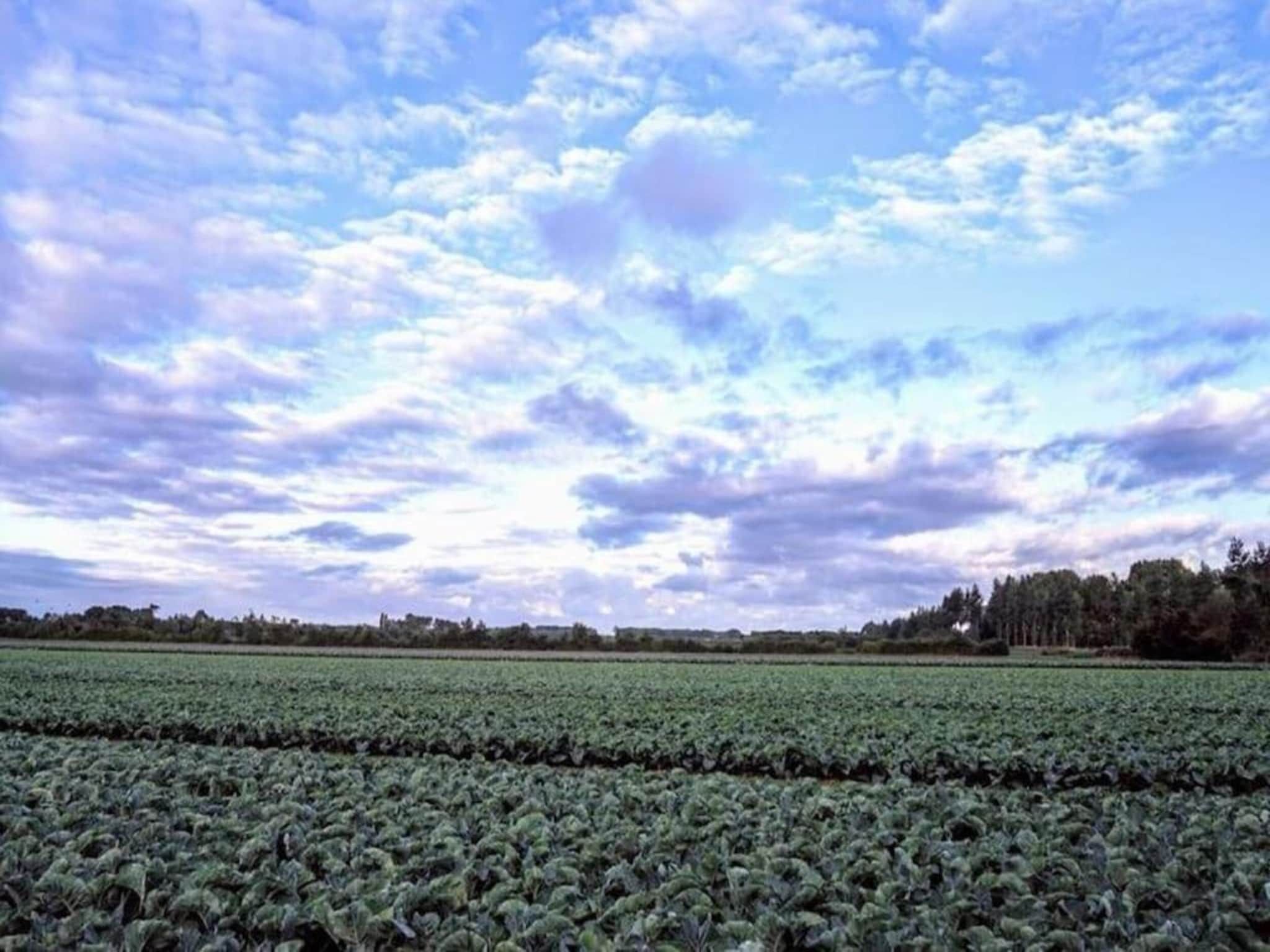 Oranjezon app 4p in Vrouwenpolder - Foto 22 van 29