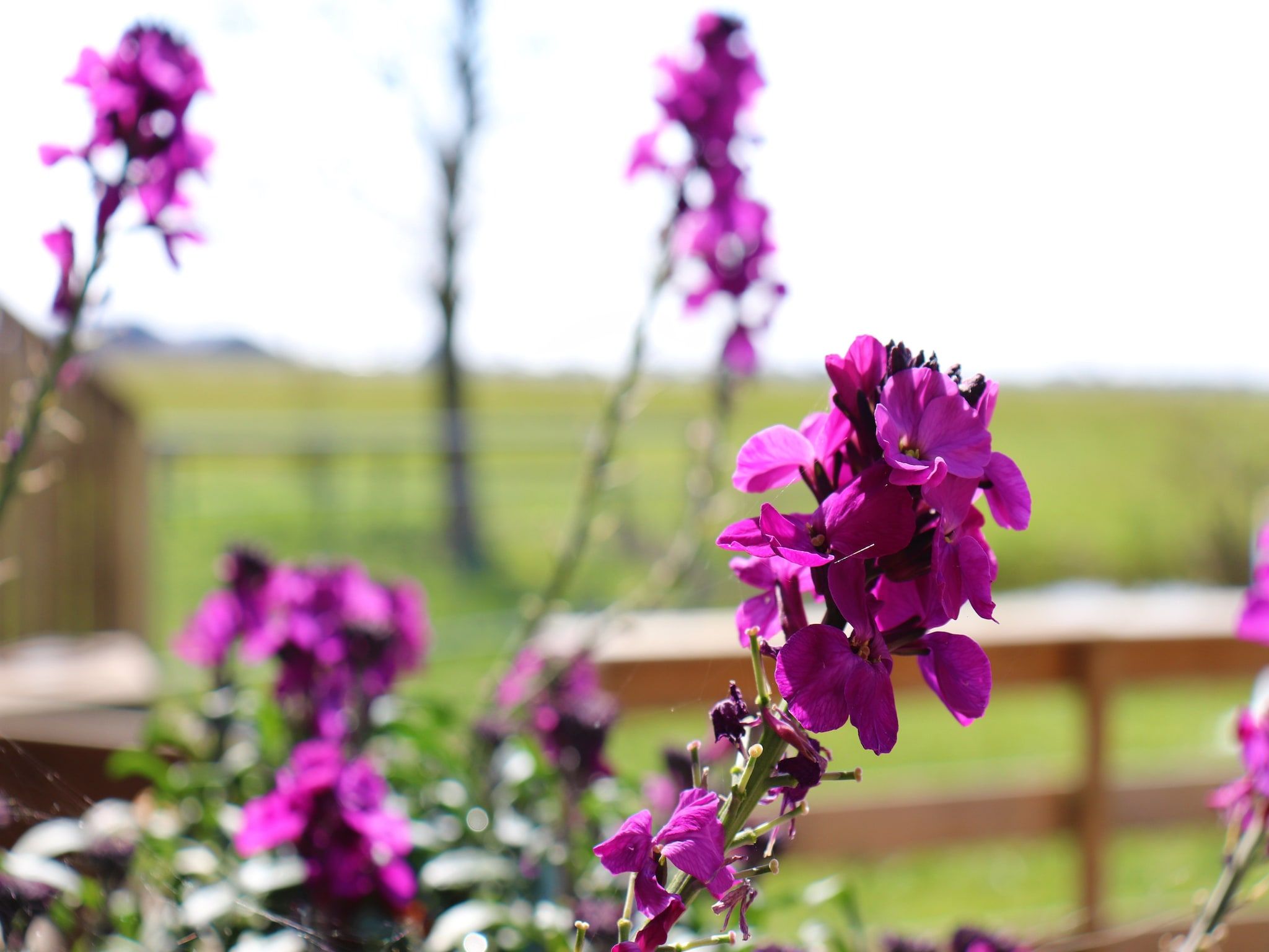 Sfeerbeeld van B&B boerderij GRUTSK in Suwald