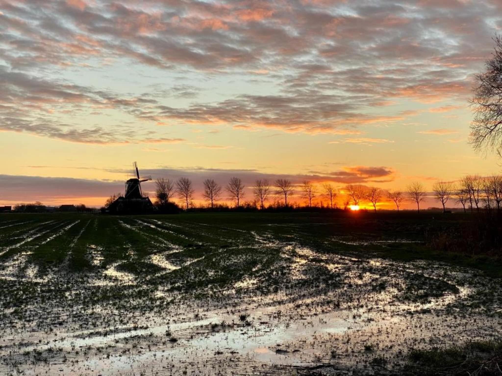 B&B boerderij GRUTSK in Suwald - Foto 37 van 38
