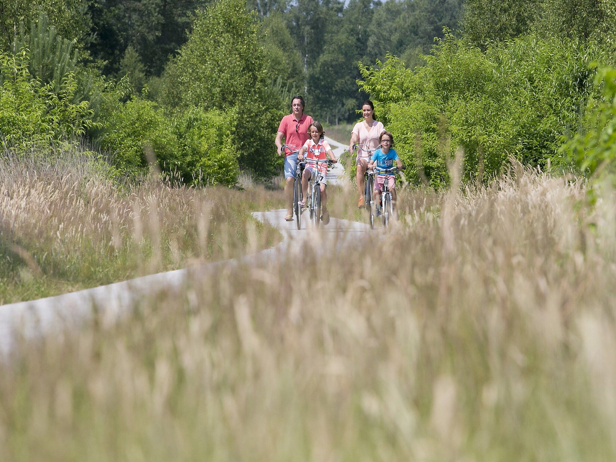 De omgeving van Bungalowpark Hoenderloo 6 in Hoenderloo